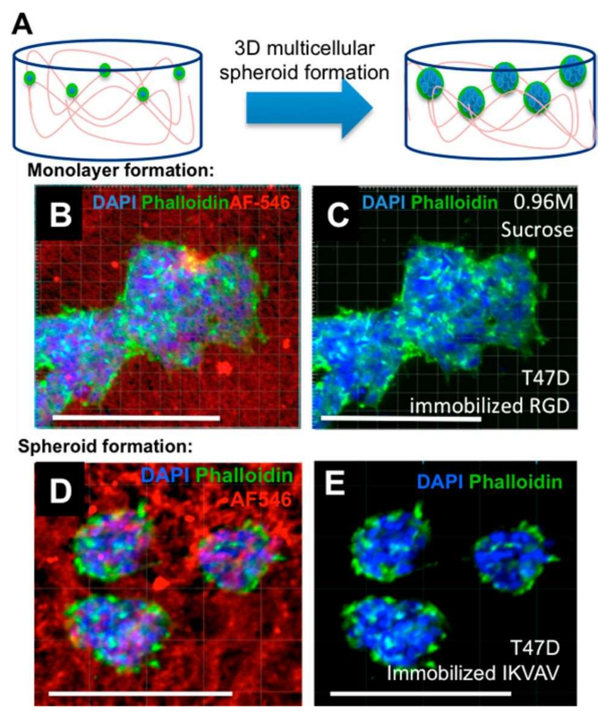 Gels 05 00020 g010 Gels 05 00020 g010