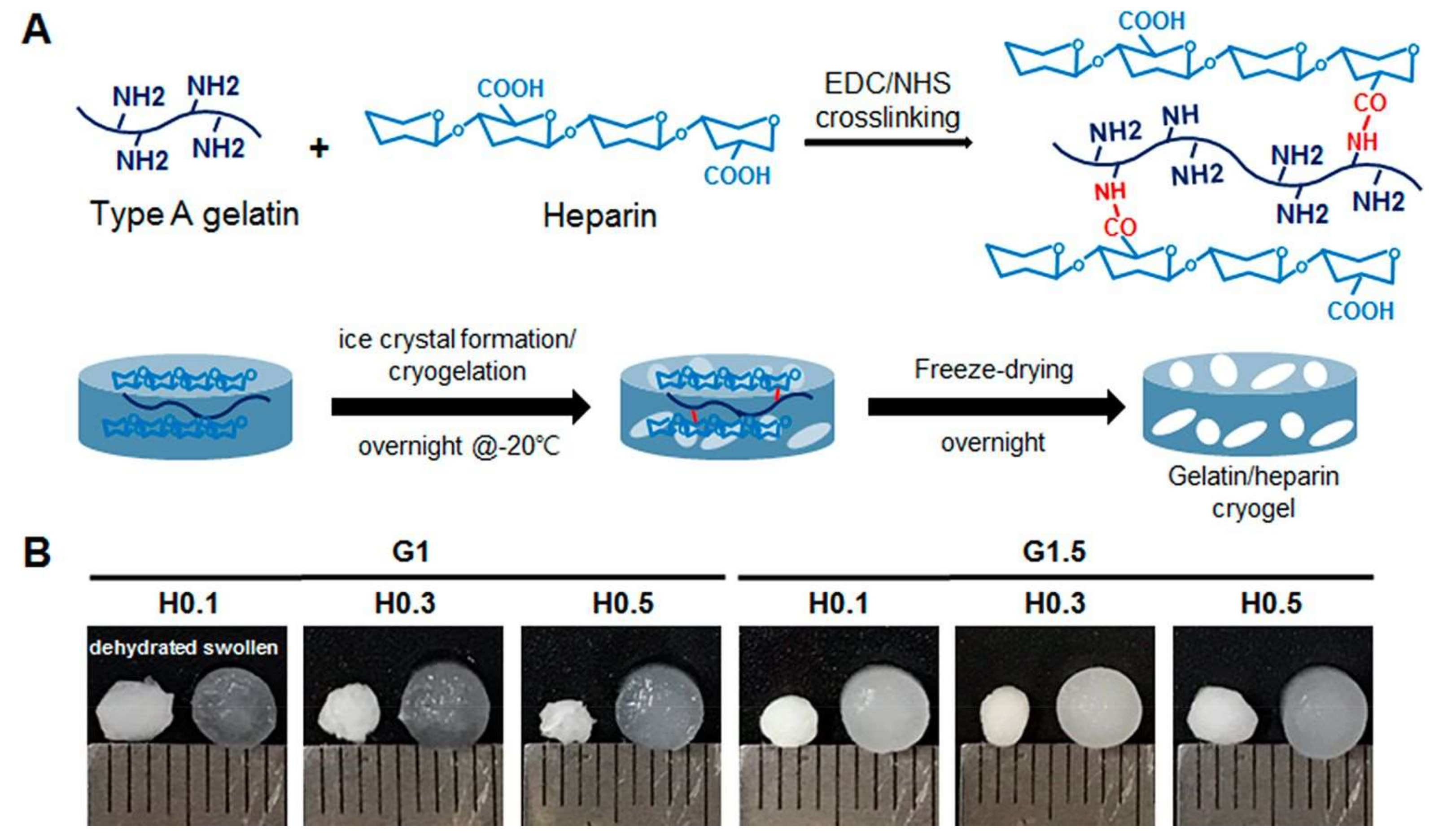 Gels 05 00020 g013 Gels 05 00020 g013