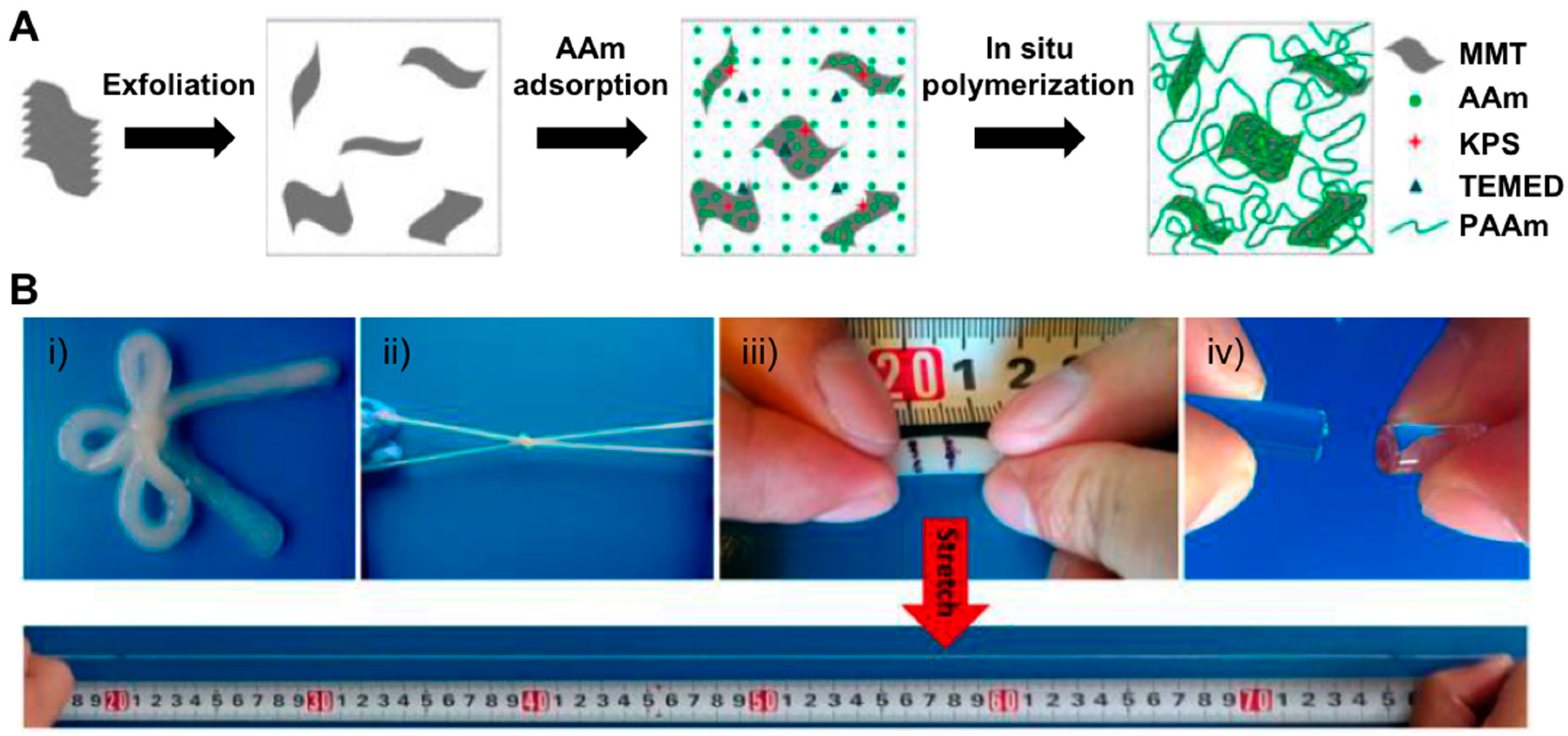 Gels 05 00024 g001 Gels 05 00024 g001
