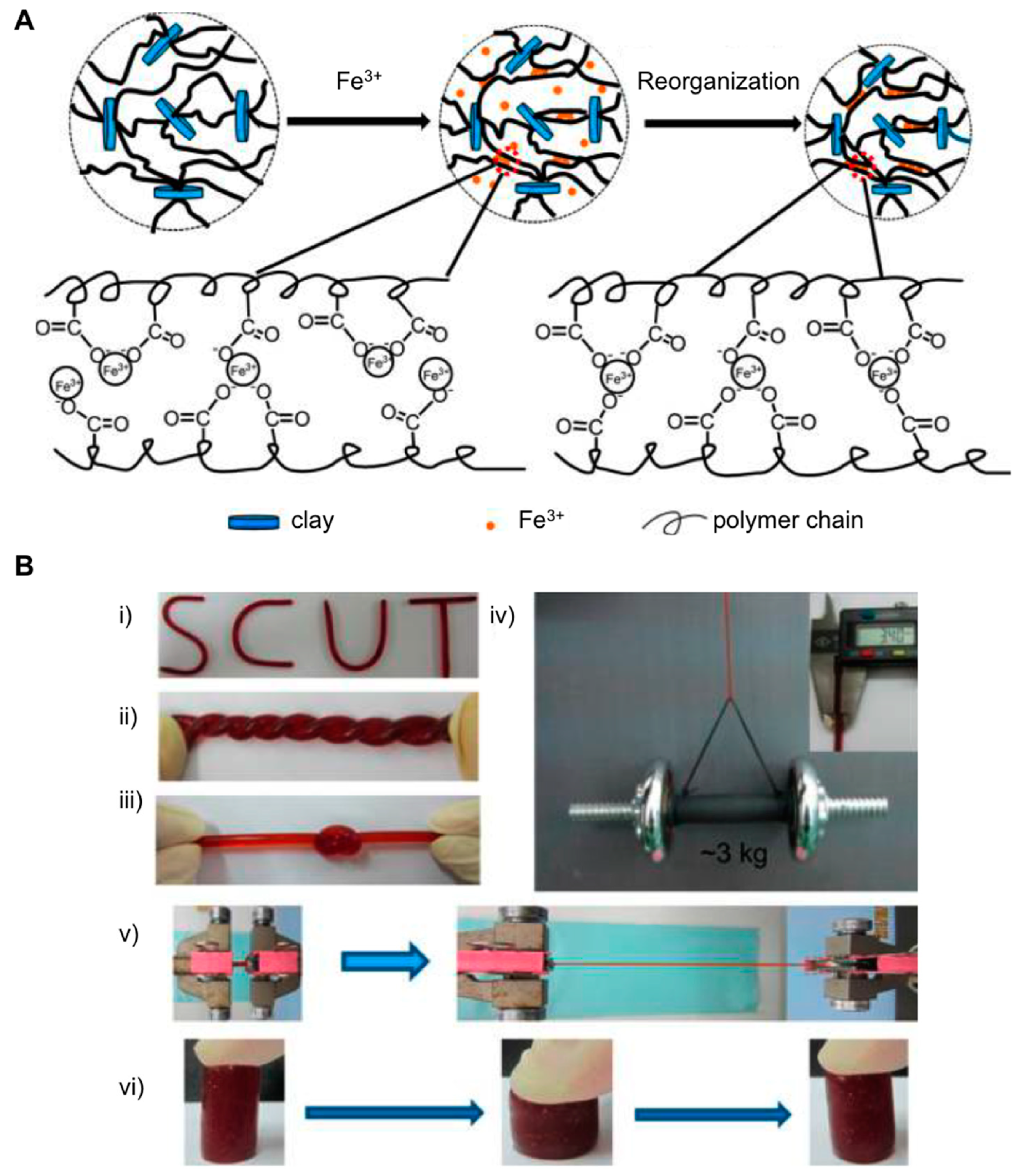 Gels 05 00024 g002 Gels 05 00024 g002