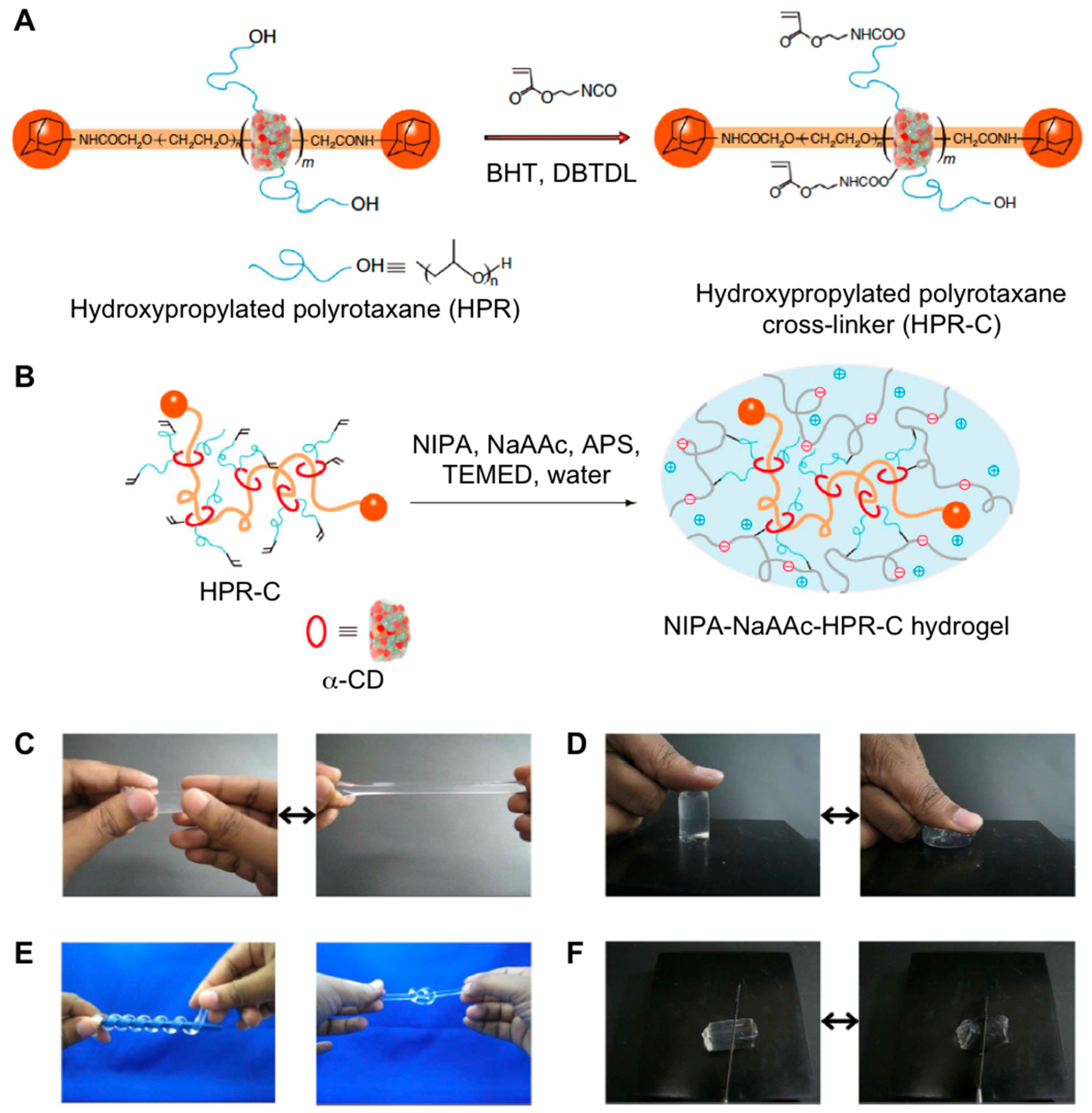 Gels 05 00024 g013 Gels 05 00024 g013