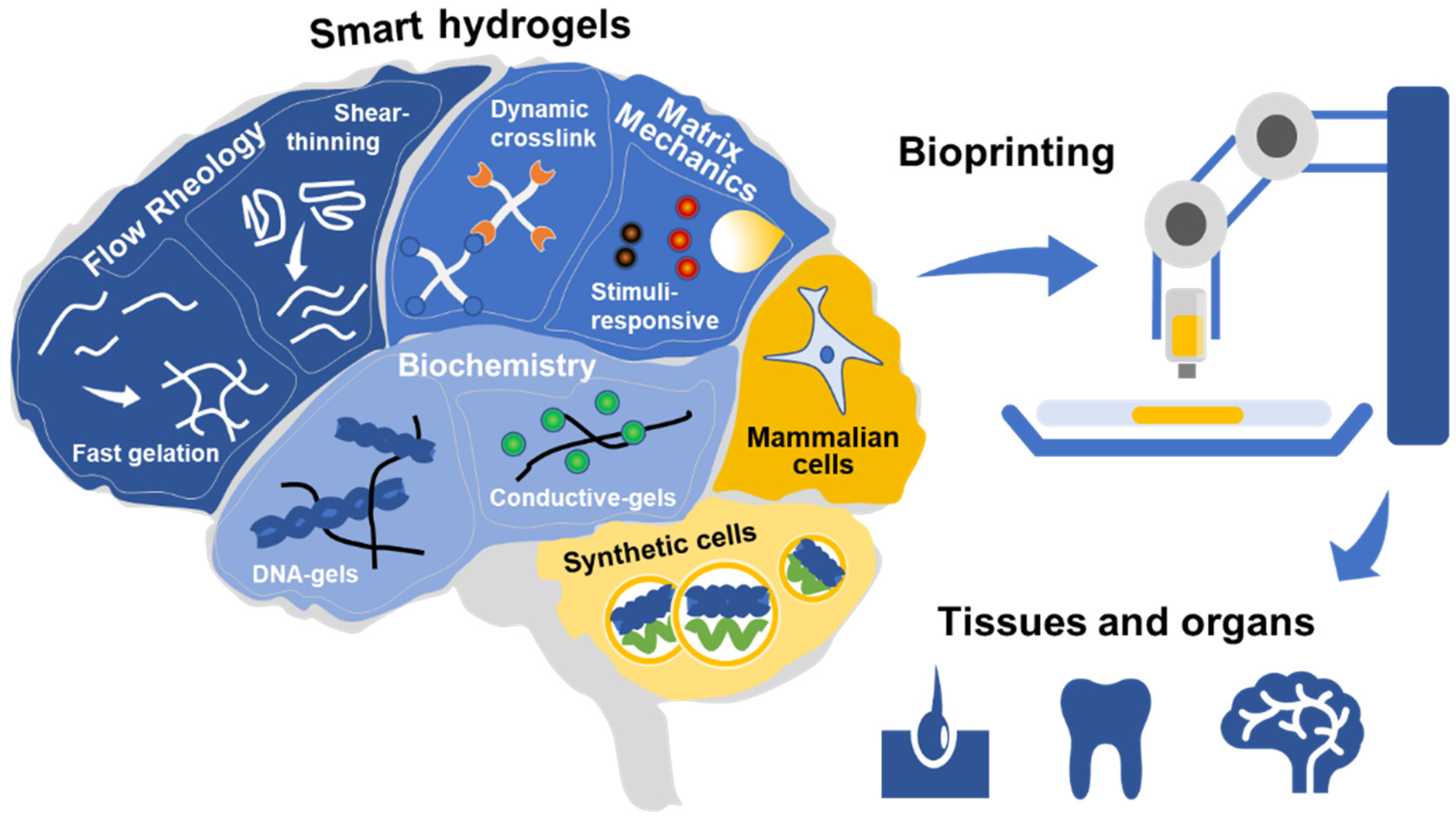 Gels 05 00029 g001 Gels 05 00029 g001