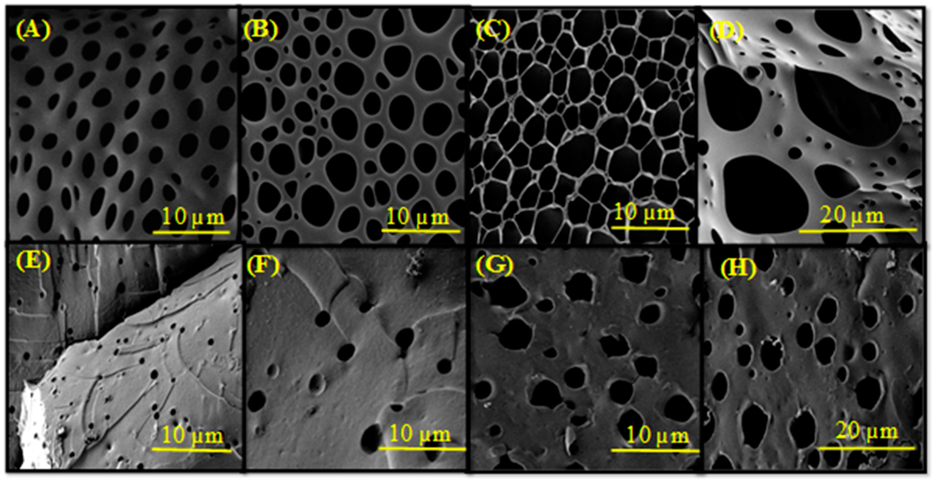 Gels Free Full Text Uptake And Release Of Species From Carbohydrate Containing Organogels And Hydrogels Html