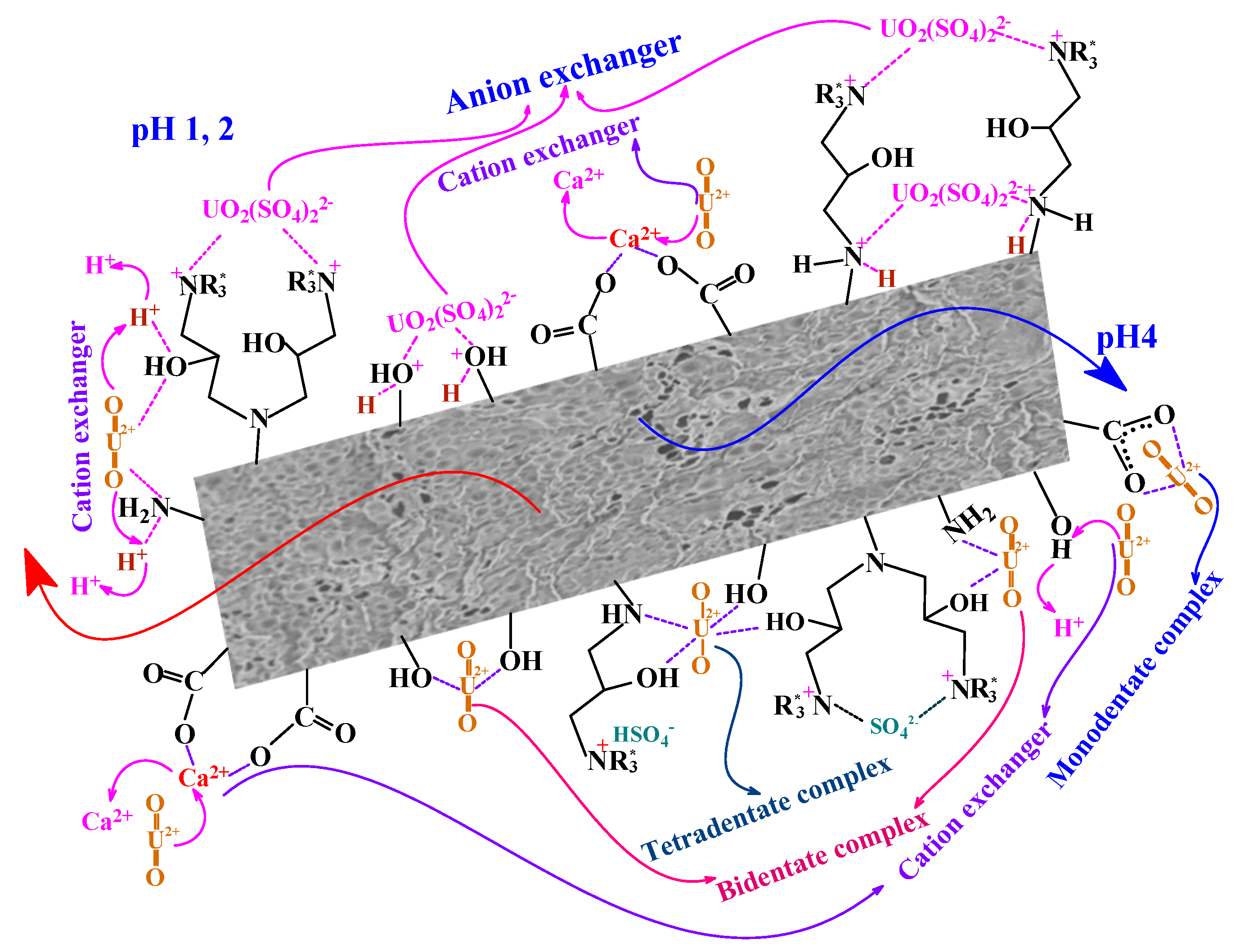 Gels 06 00012 sch001 Gels 06 00012 sch001