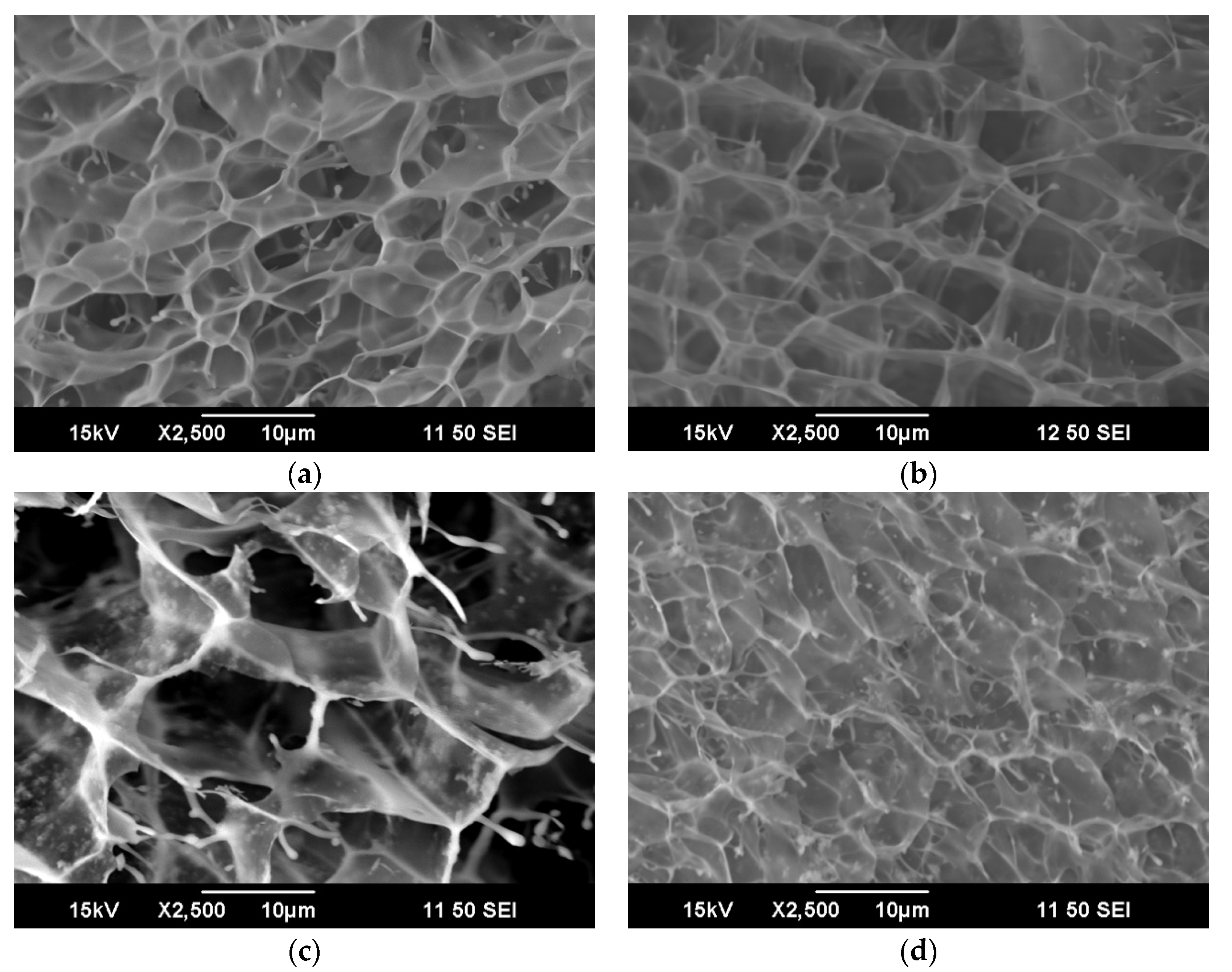 Gels 06 00013 g004 Gels 06 00013 g004