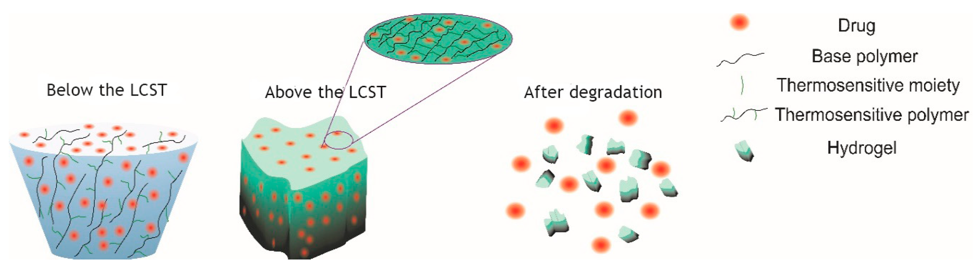Gels 06 00020 g001 Gels 06 00020 g001