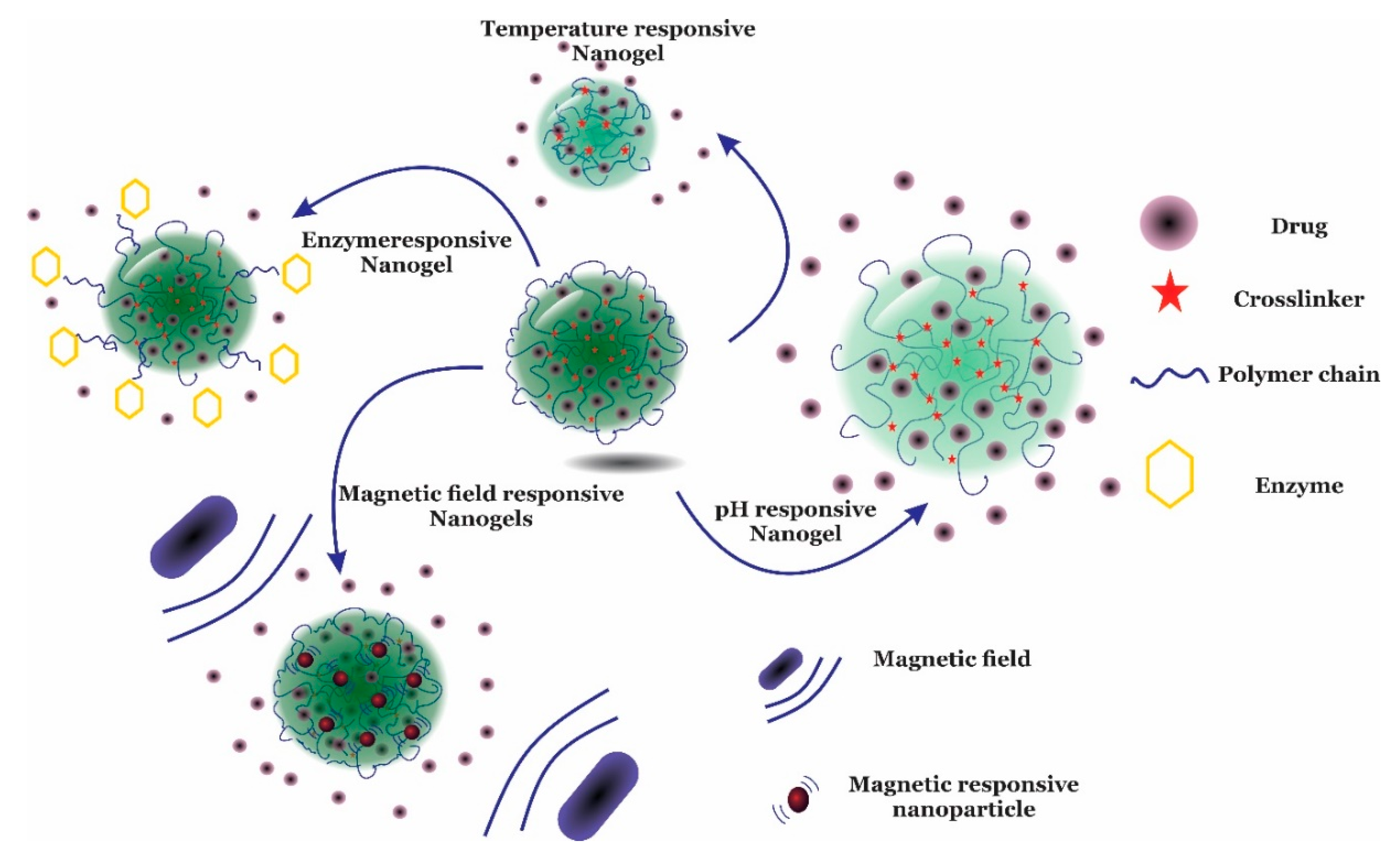 Gels 06 00020 g003 Gels 06 00020 g003