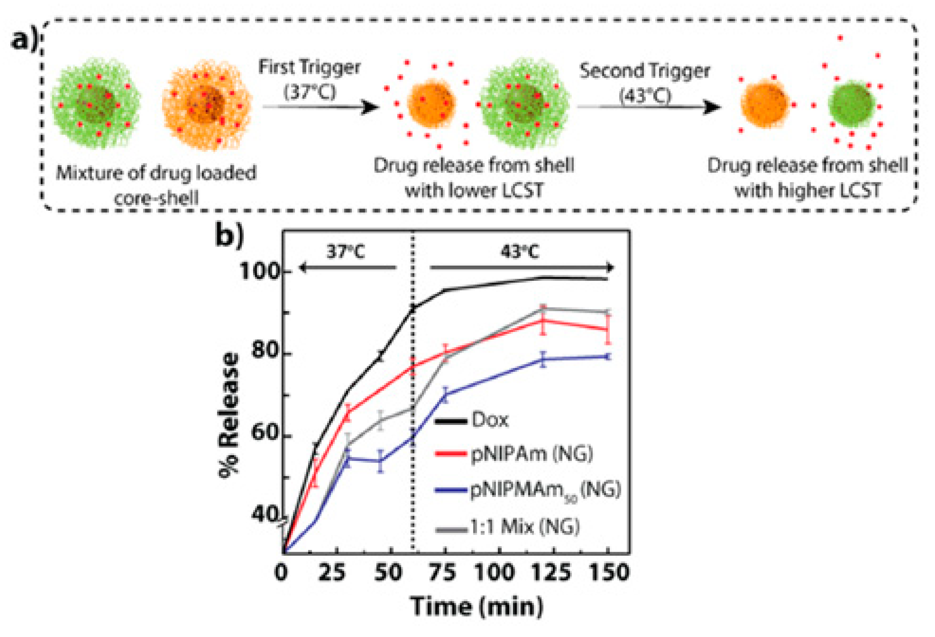 Gels 06 00020 g005 Gels 06 00020 g005