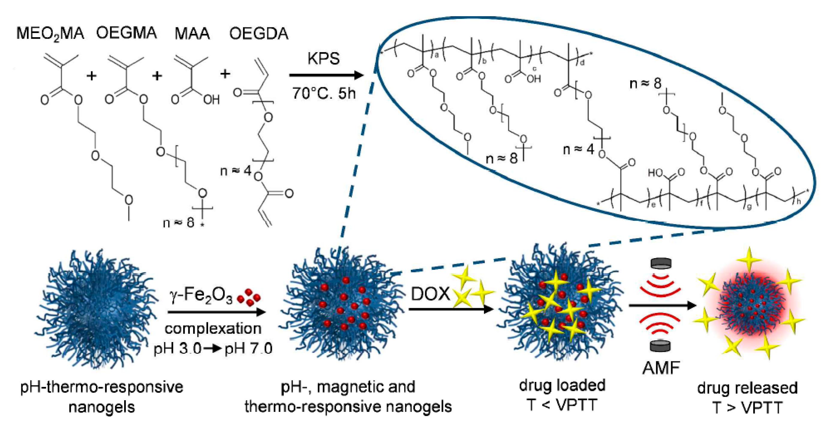 Gels 06 00020 g009 Gels 06 00020 g009