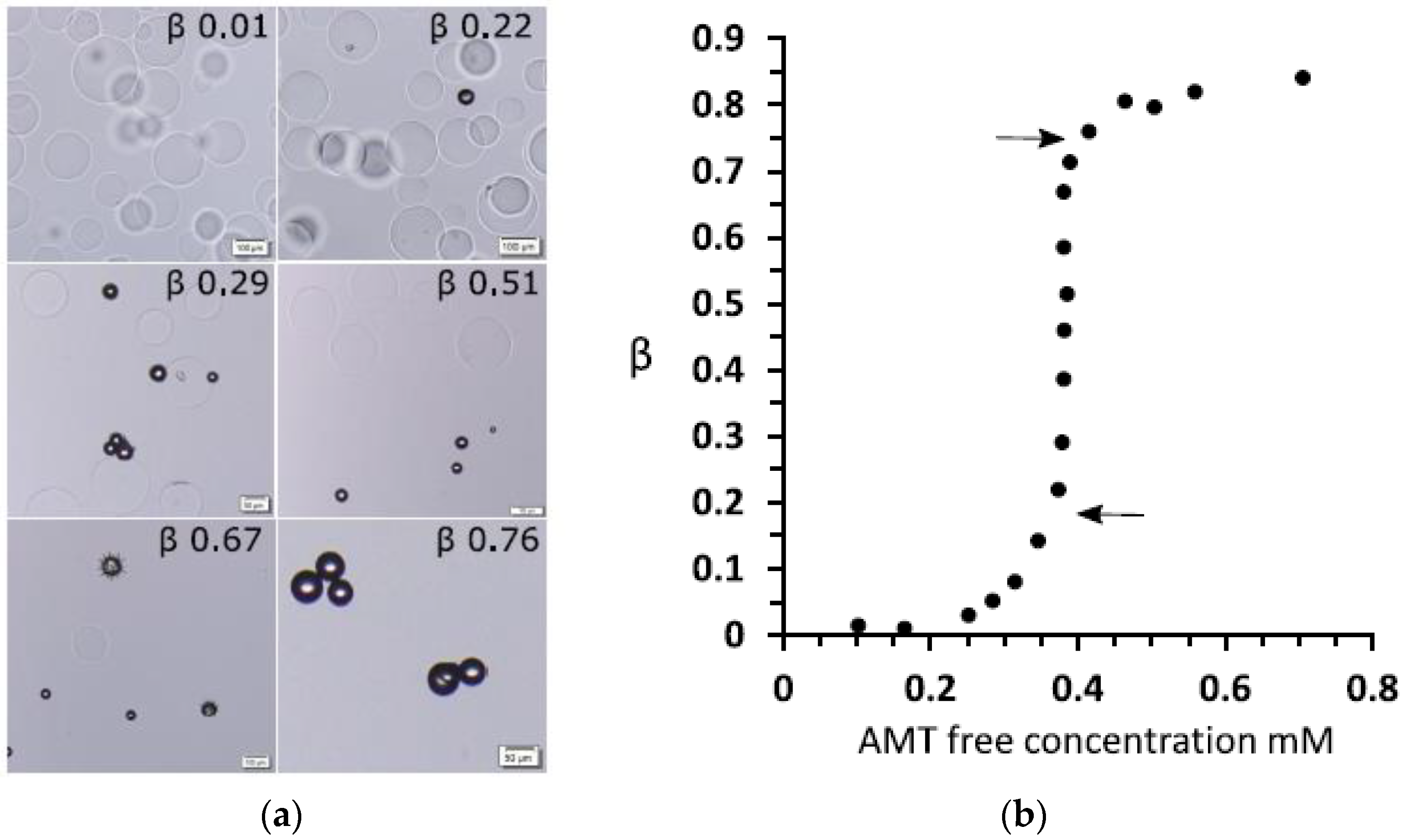 Gels 06 00024 g003 Gels 06 00024 g003