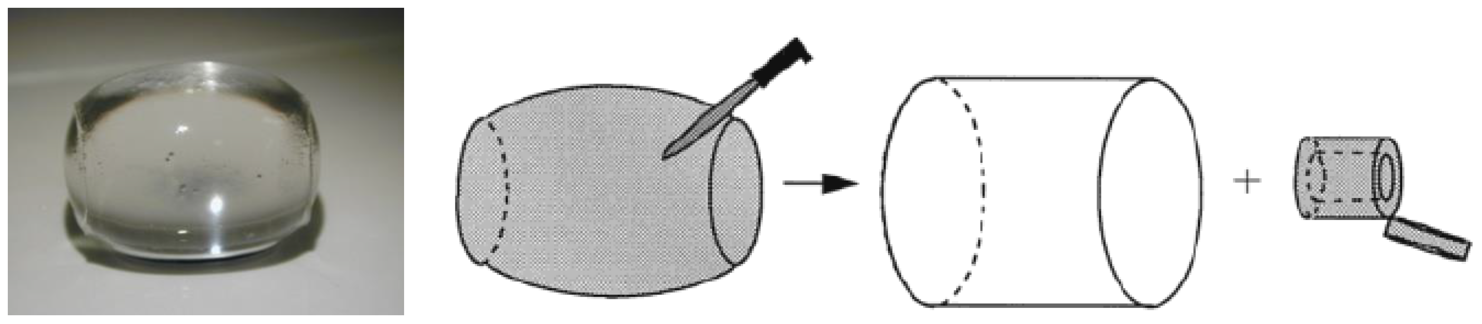 Gels 06 00024 g011 Gels 06 00024 g011