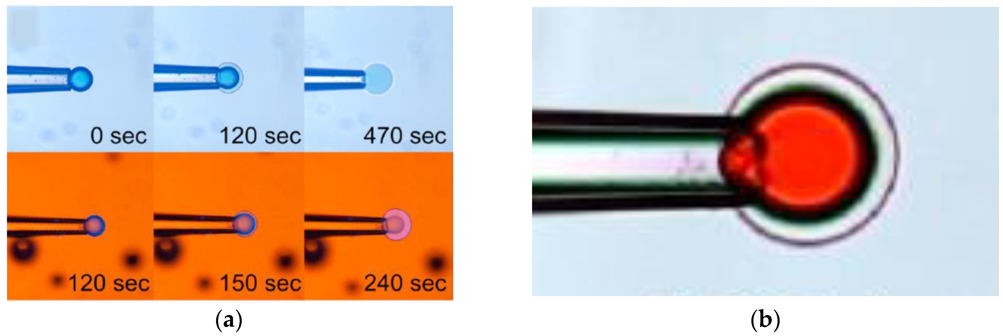 Gels 06 00024 g024 Gels 06 00024 g024