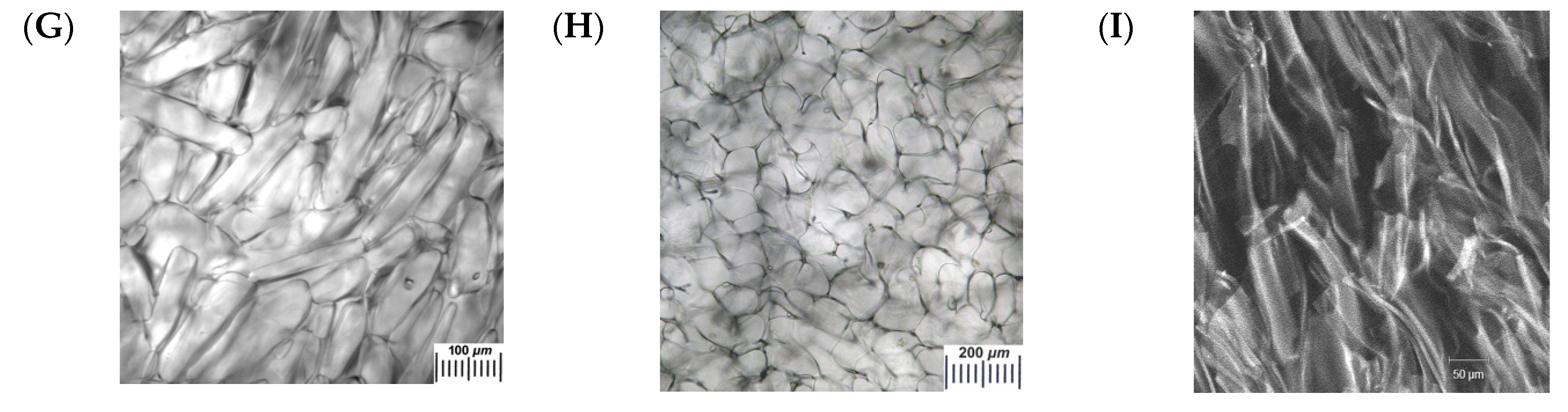 Gels 06 00029 g001b Gels 06 00029 g001b