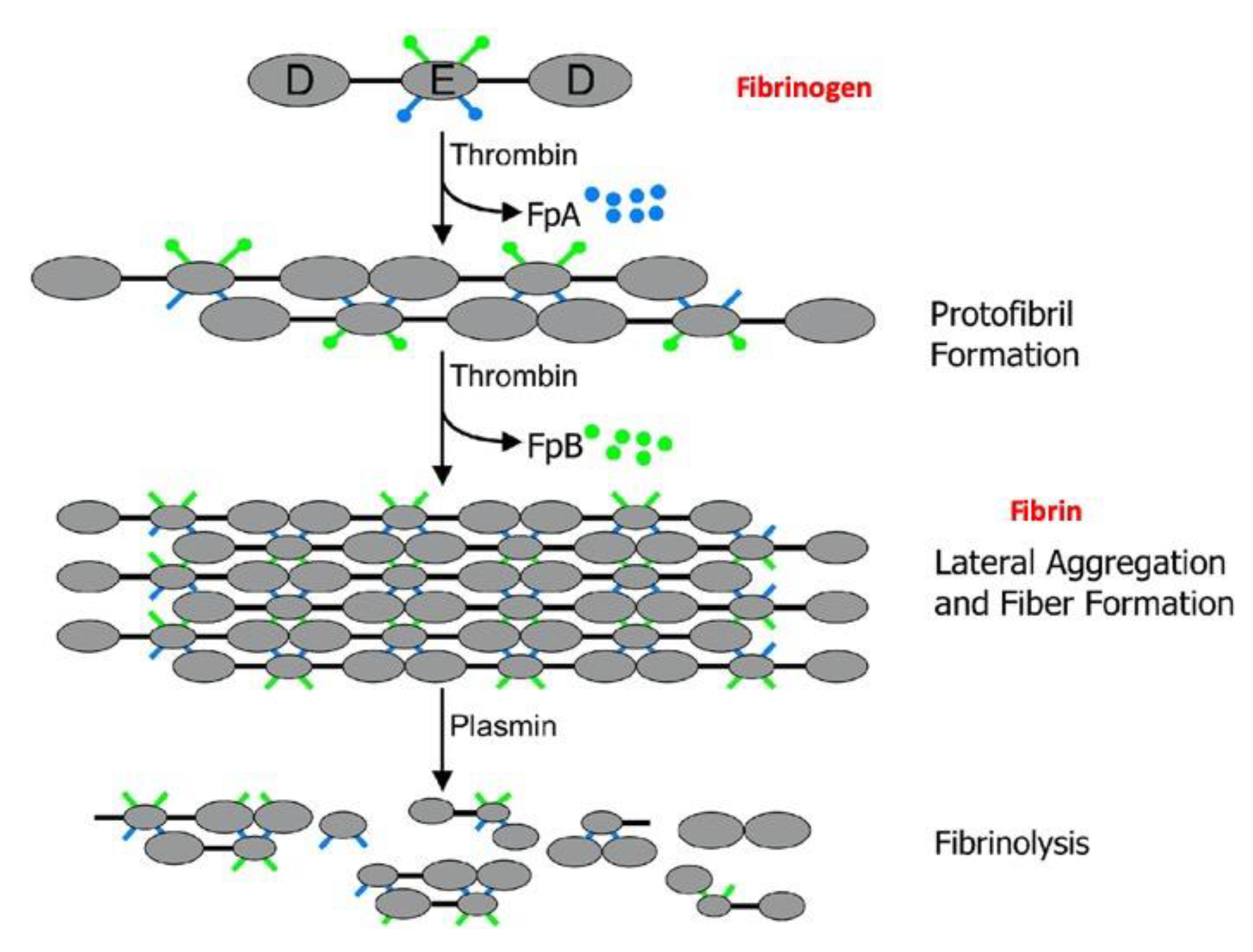 Gels 06 00036 g002 Gels 06 00036 g002