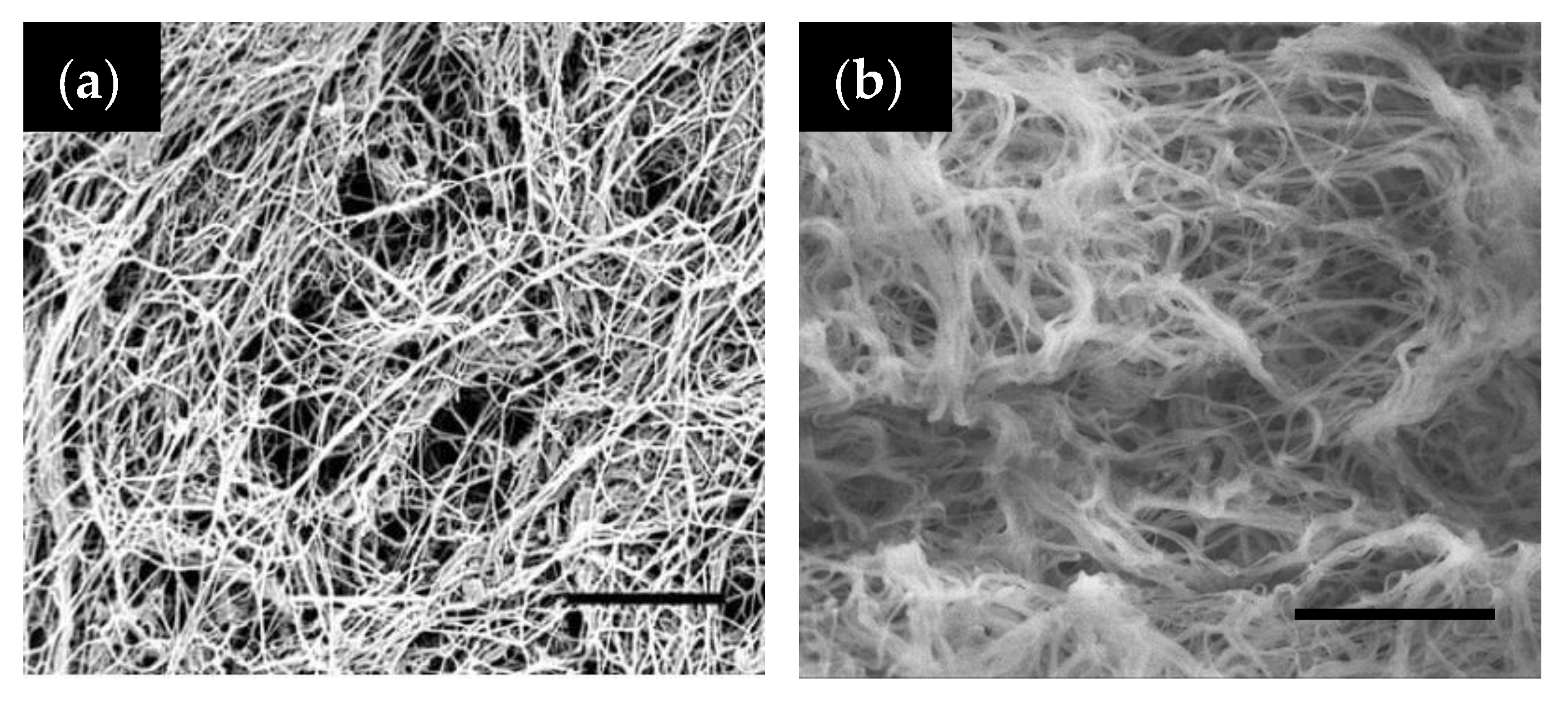 Gels 06 00036 g003 Gels 06 00036 g003