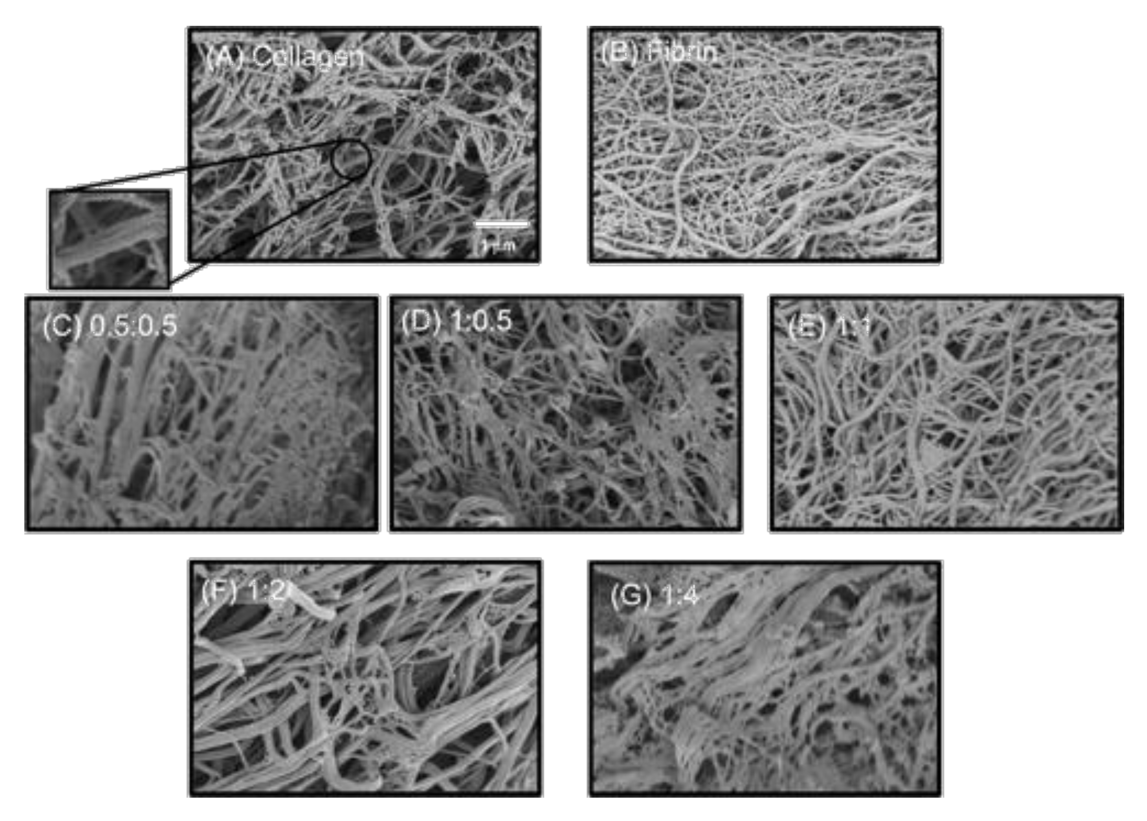 Gels 06 00036 g006 Gels 06 00036 g006