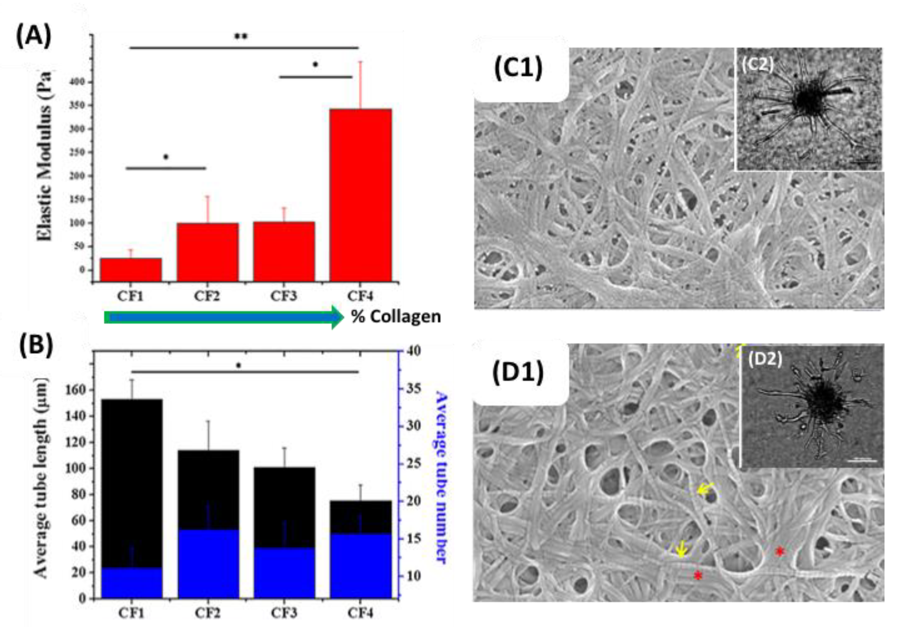 Gels 06 00036 g007 Gels 06 00036 g007