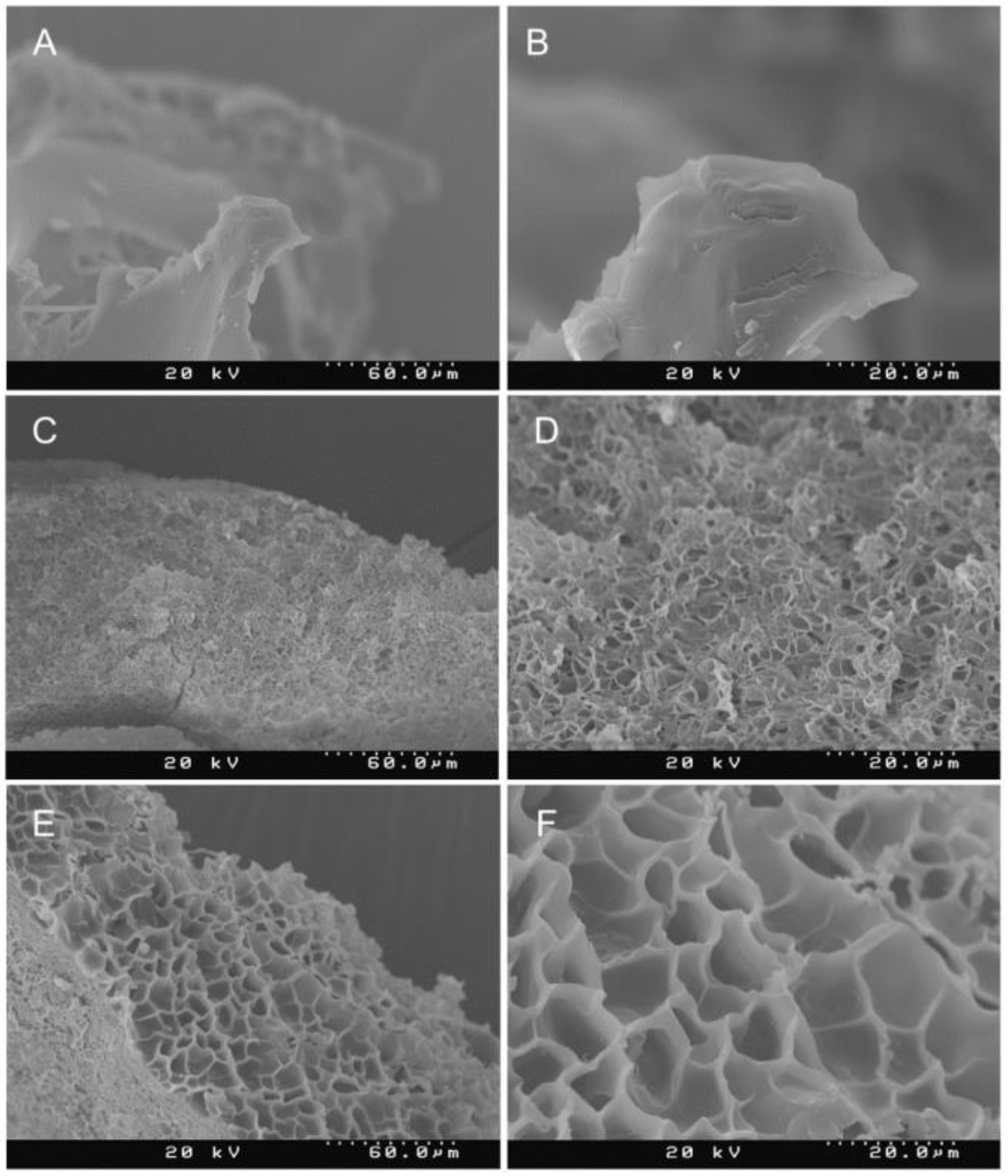 Gels 06 00039 g002
