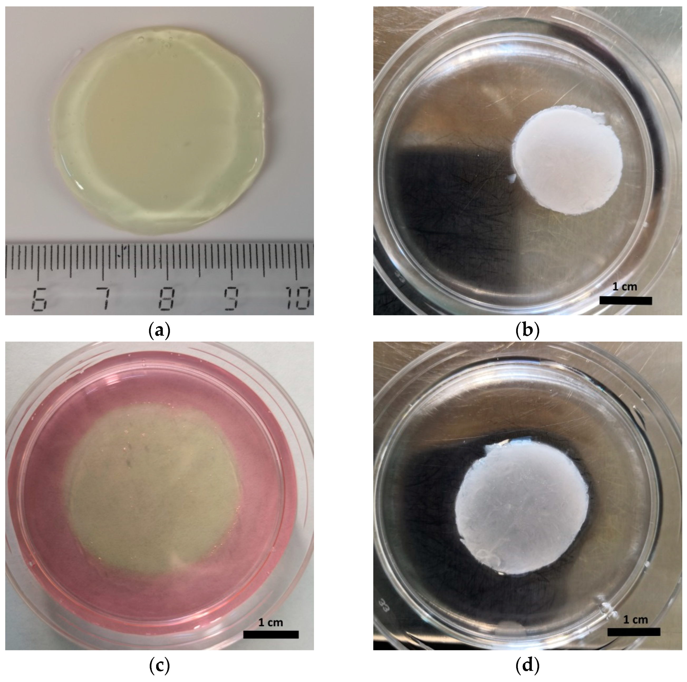 Gels 06 00044 g003 Gels 06 00044 g003