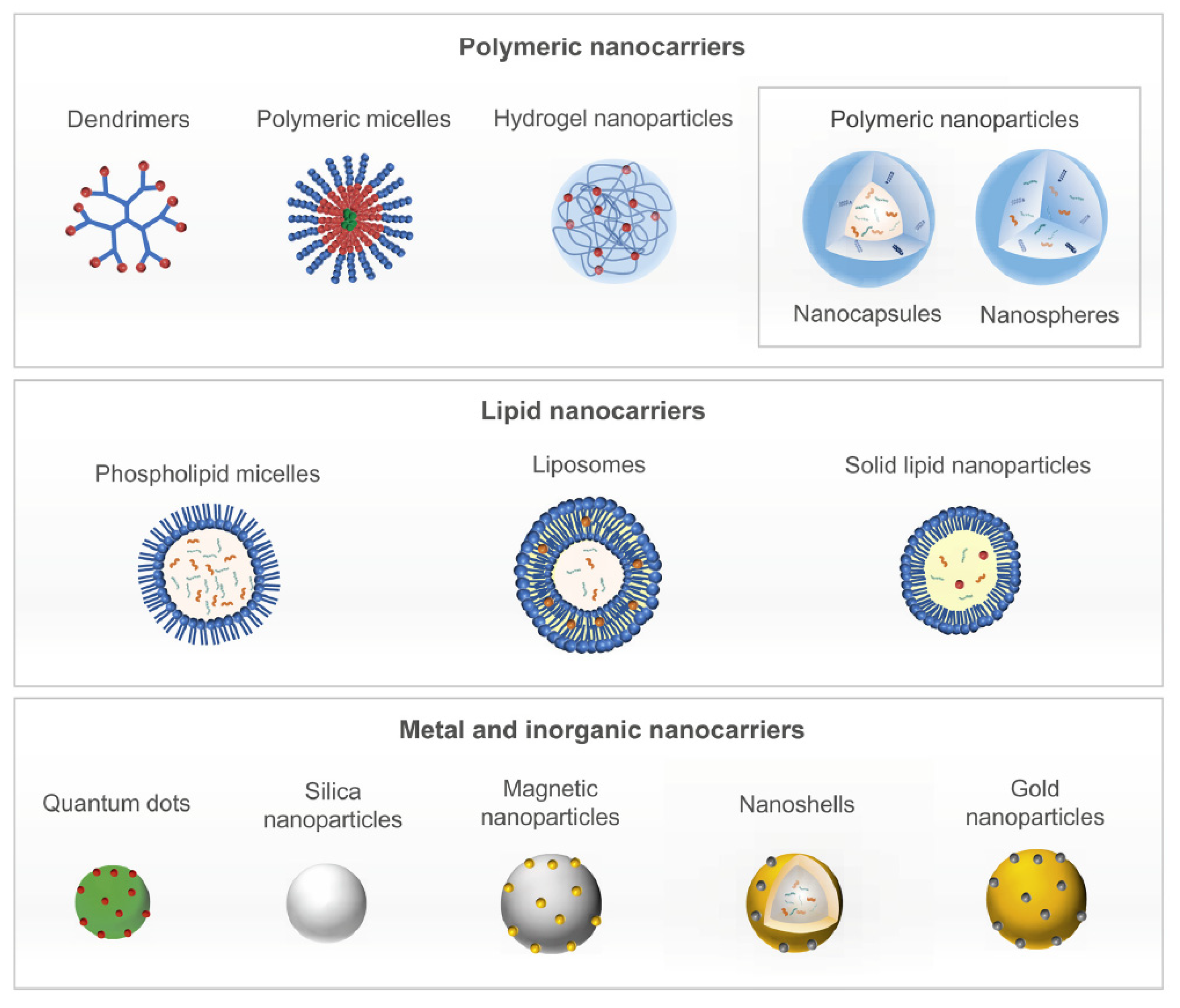Gels 07 00006 g001 Gels 07 00006 g001
