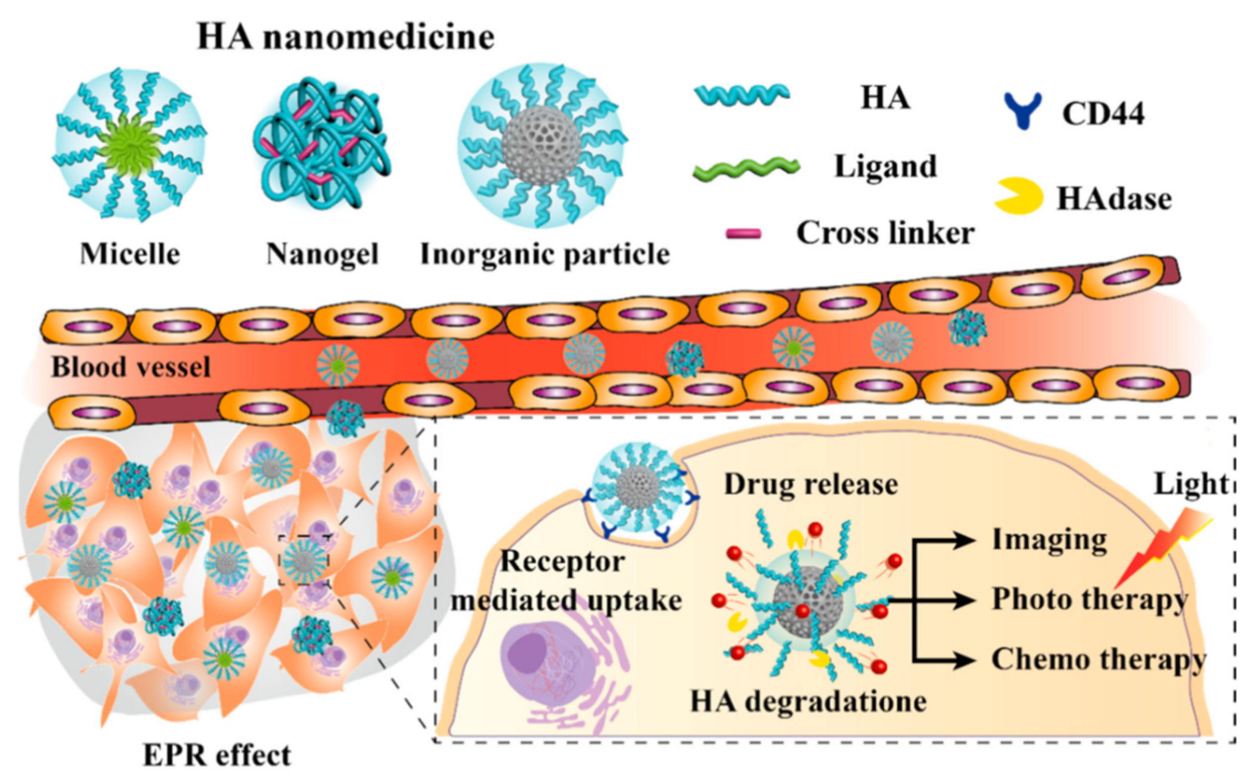 Gels 07 00006 g006 Gels 07 00006 g006