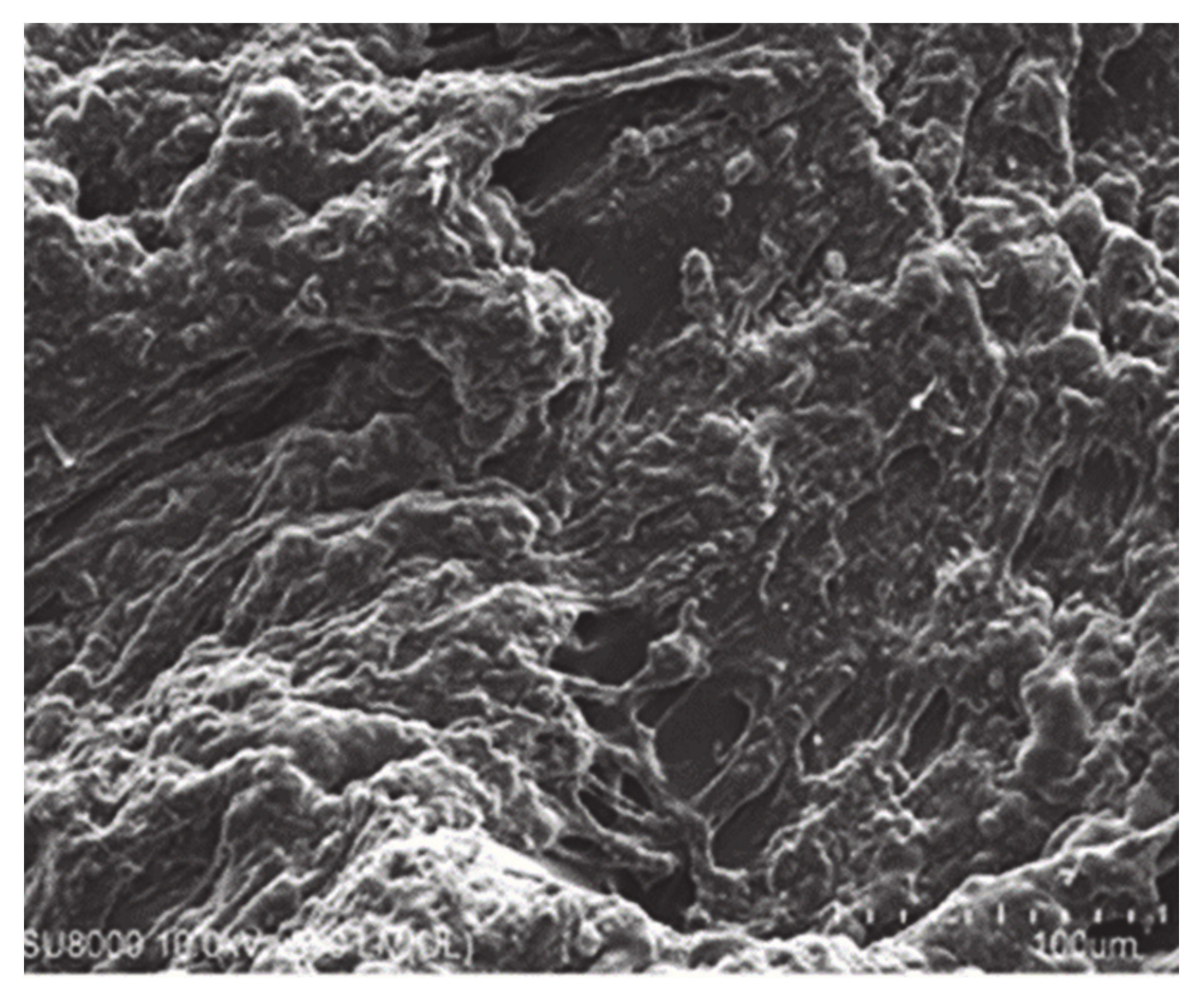 Gels 07 00010 g005 Gels 07 00010 g005