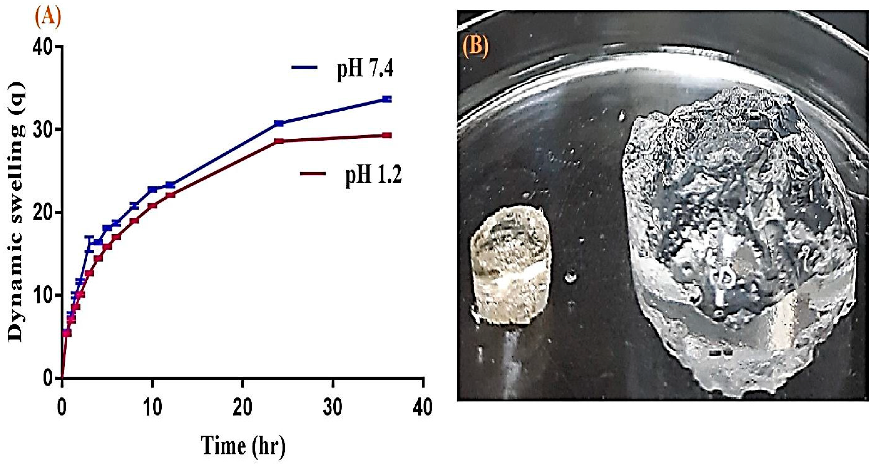 Gels 07 00010 g007 Gels 07 00010 g007