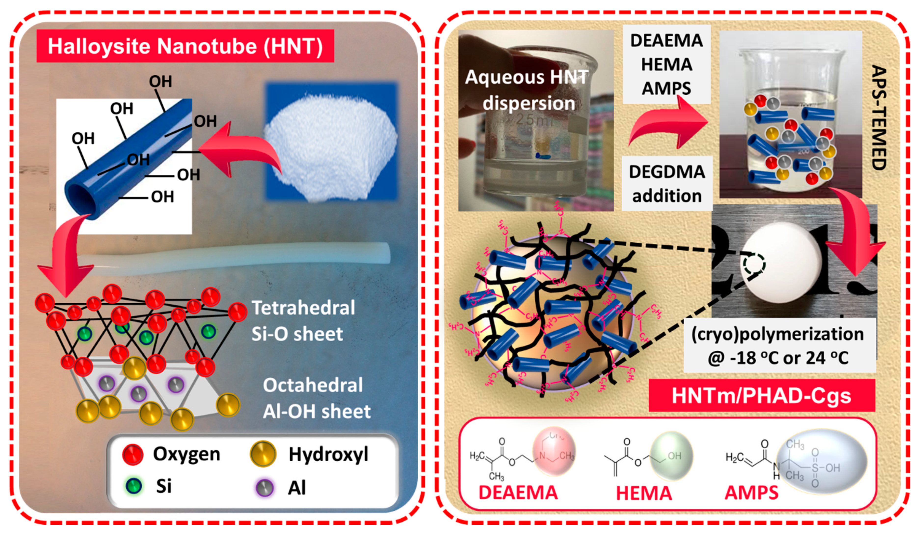 Gels 07 00016 sch001 Gels 07 00016 sch001