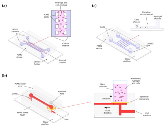 ベッド Modeling the Mechanobiology of Cancer Cell Migration Using
