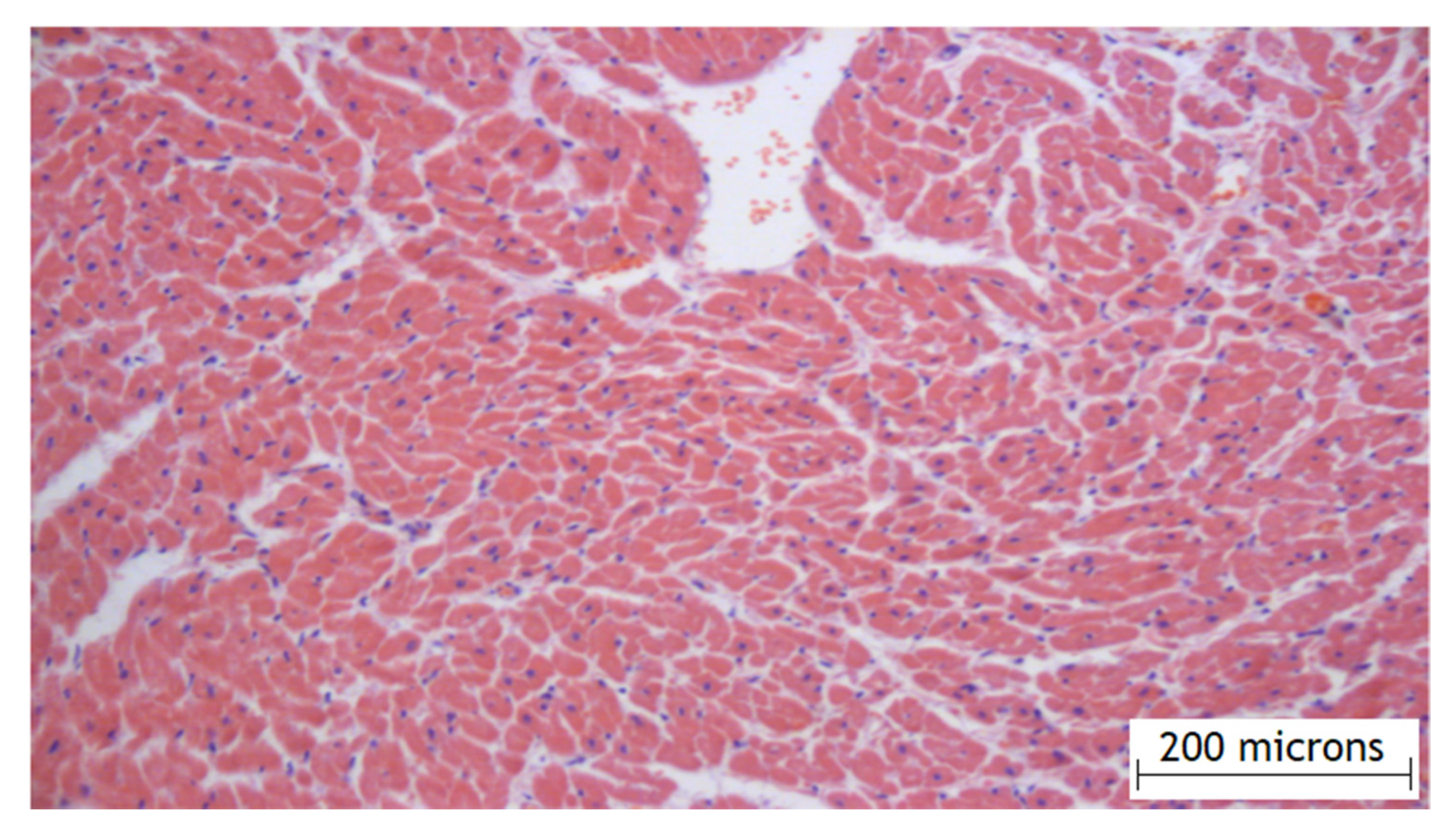 Gels 07 00029 g004 Gels 07 00029 g004