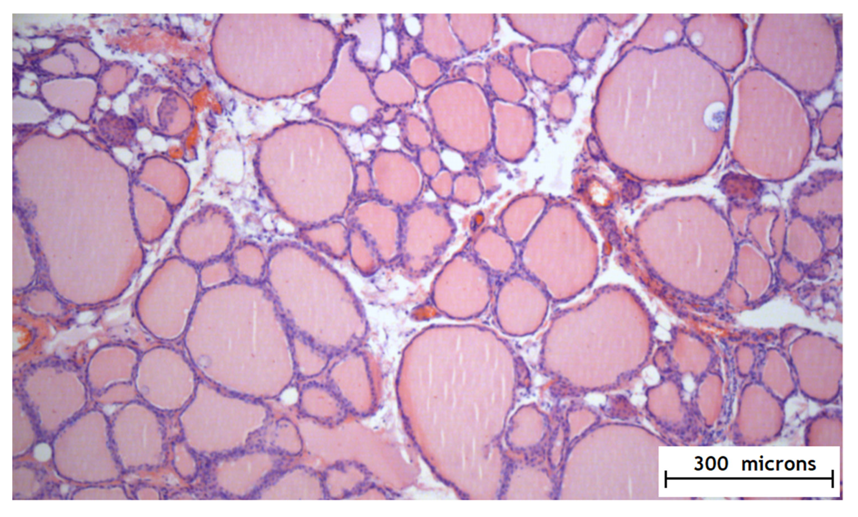 Gels 07 00029 g005 Gels 07 00029 g005