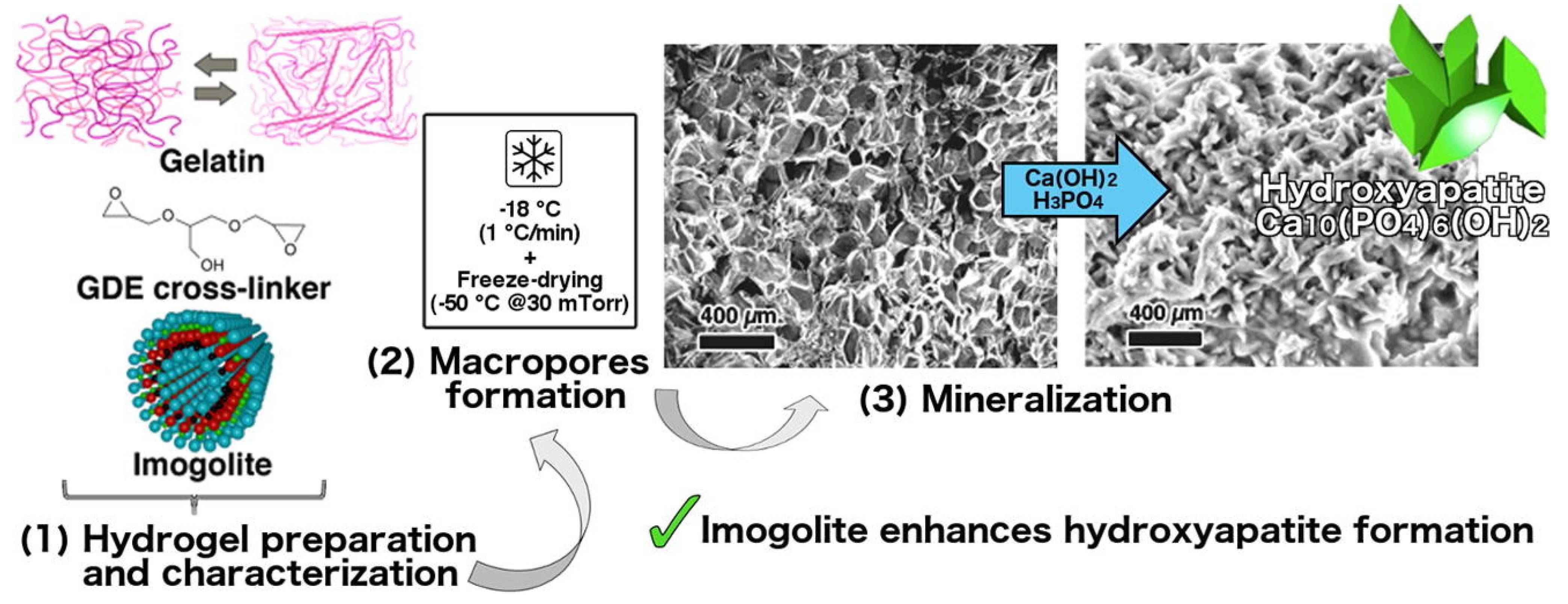 Gels 07 00031 g002 Gels 07 00031 g002