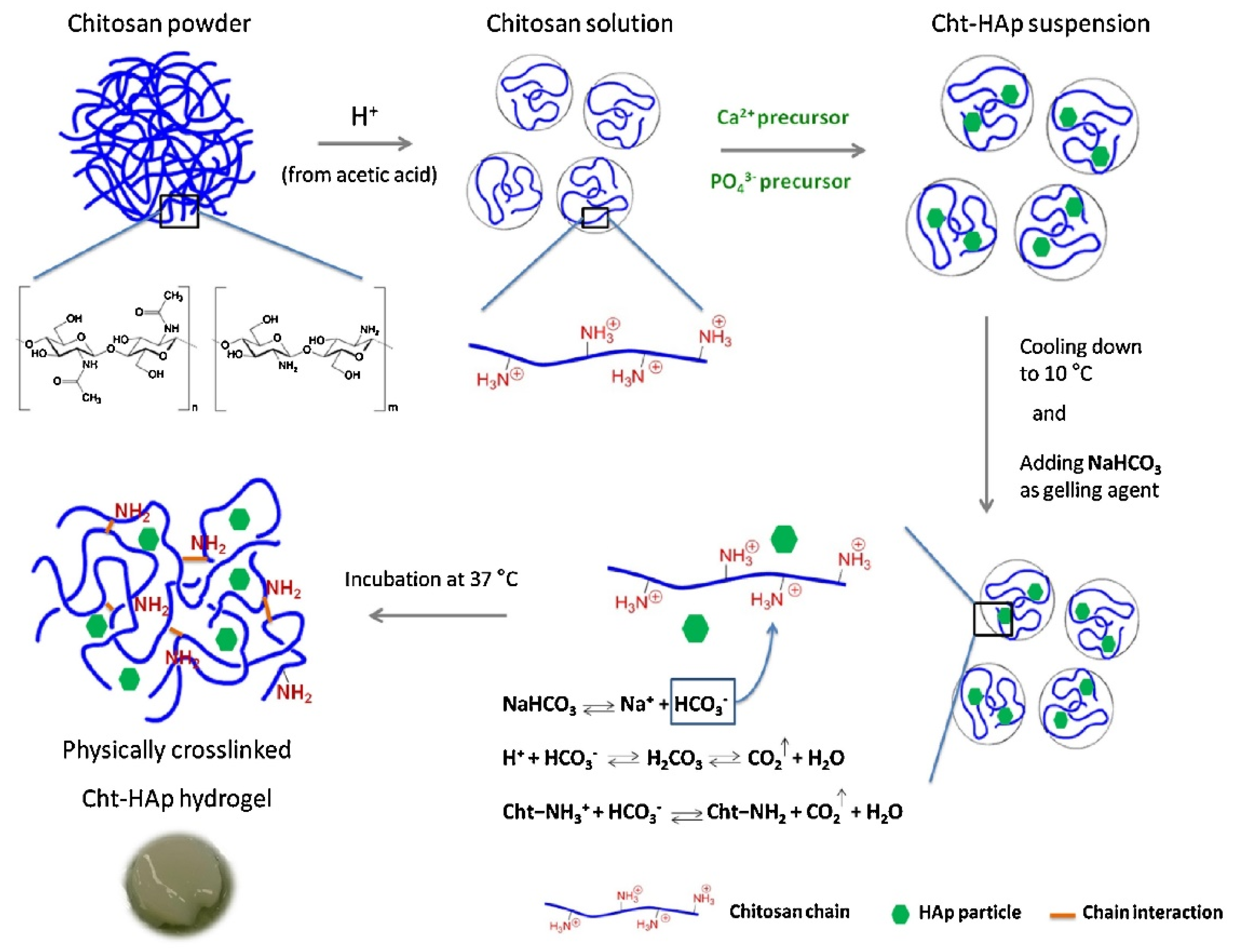 Gels 07 00031 g003 Gels 07 00031 g003