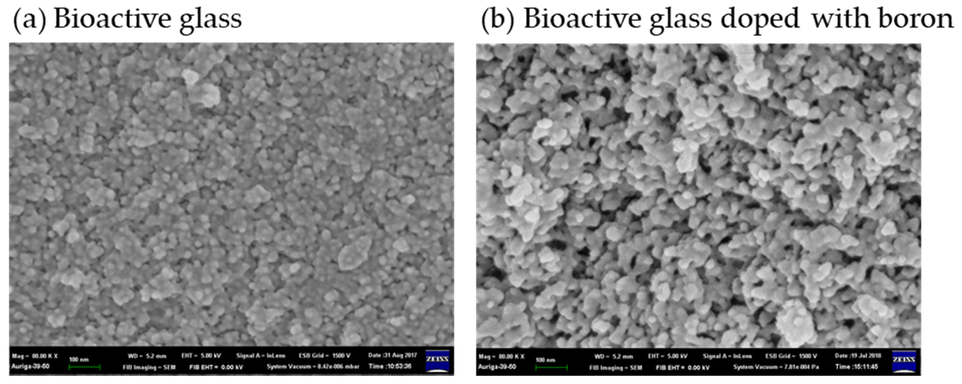 Gels 07 00031 g006 Gels 07 00031 g006