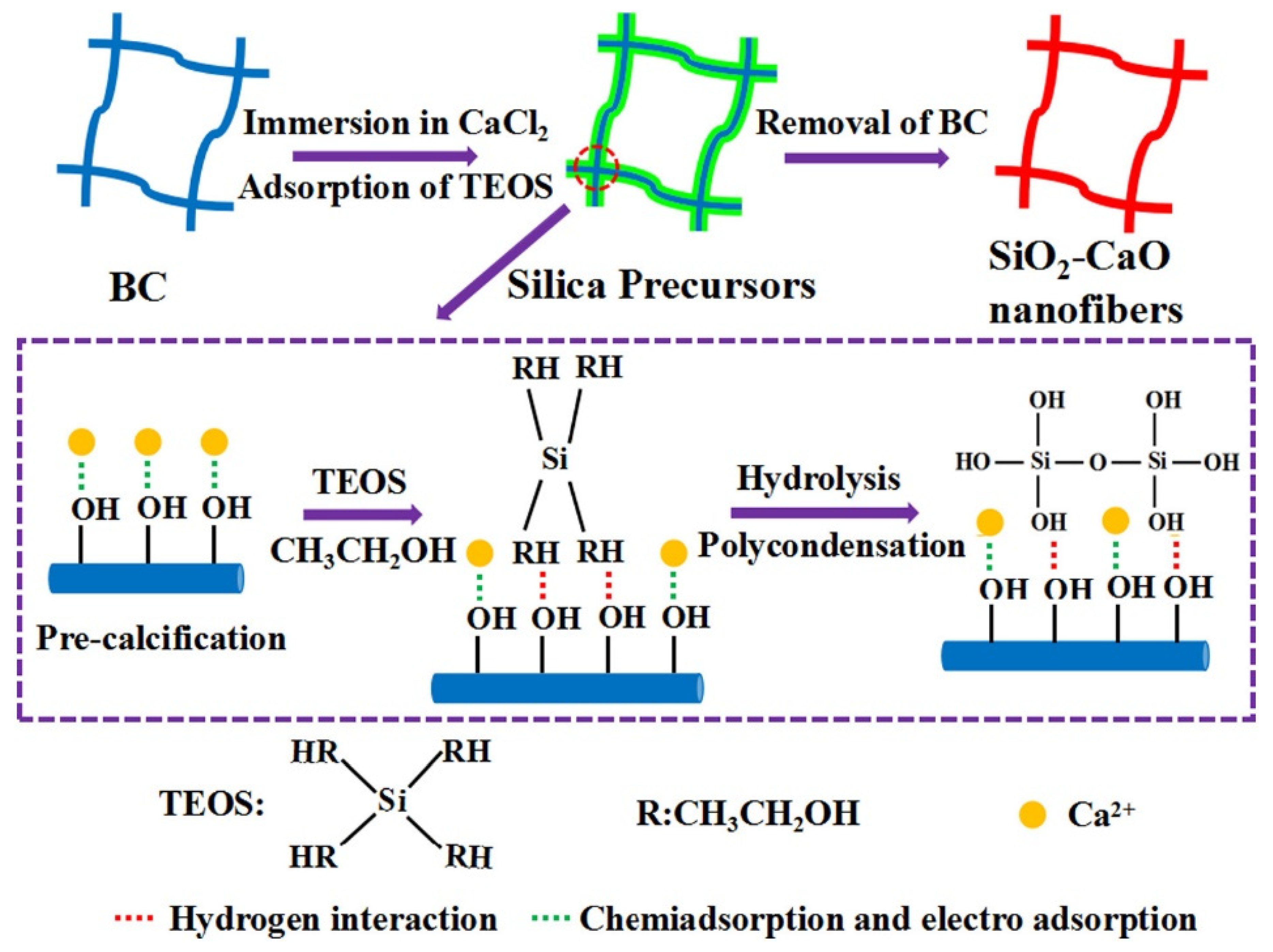 Gels 07 00031 g007 Gels 07 00031 g007