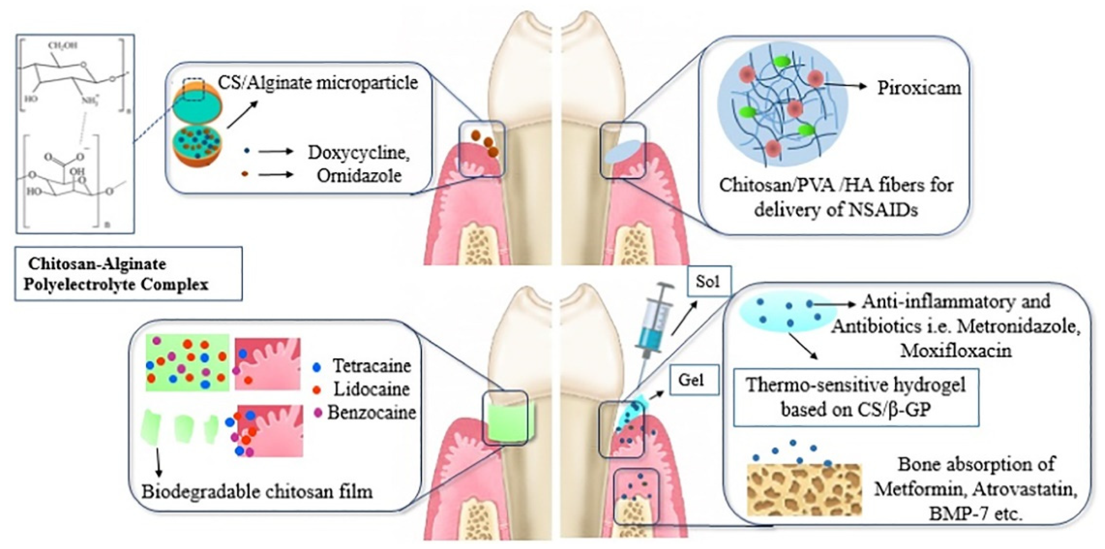 Gels 07 00031 g008 Gels 07 00031 g008