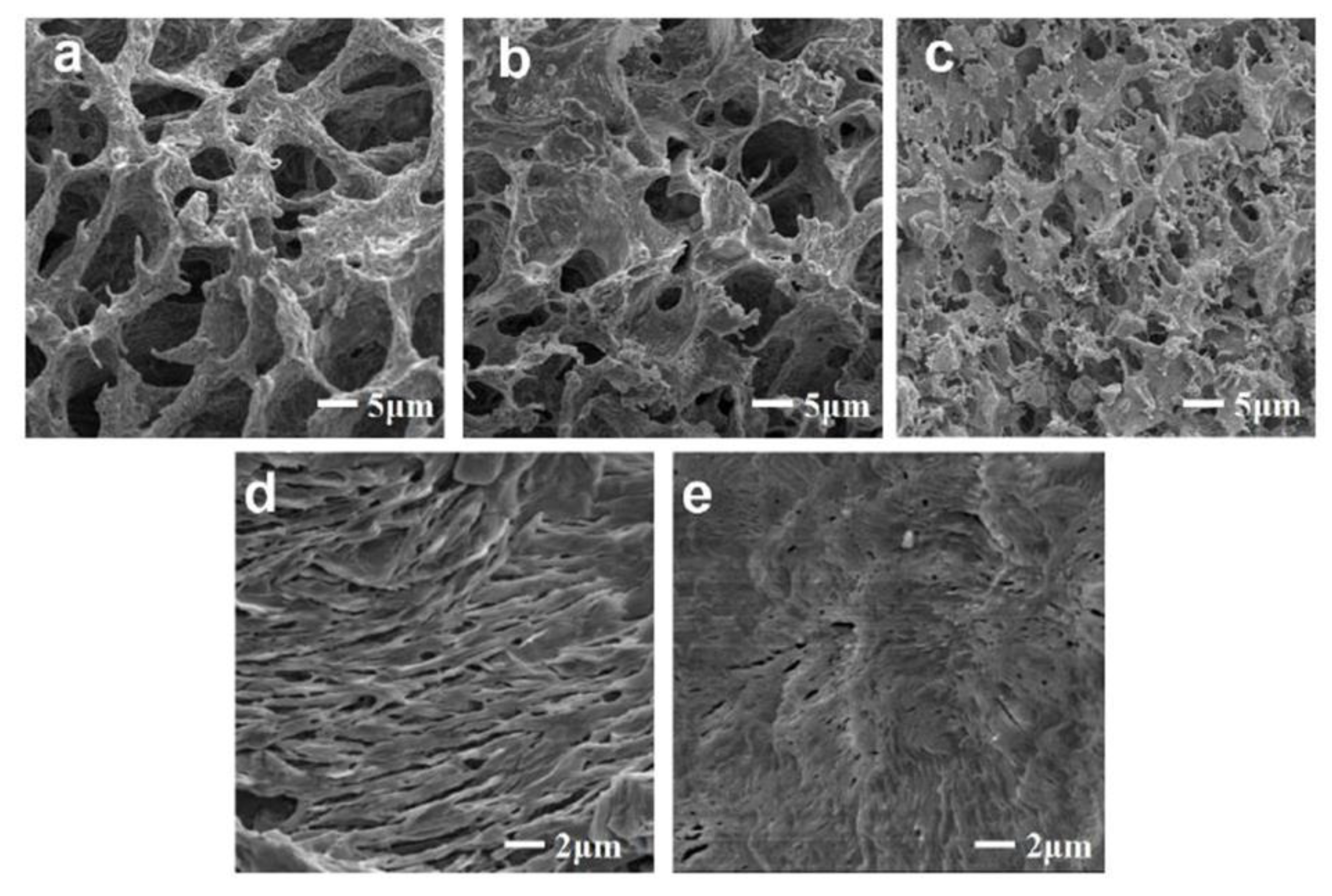 Gels 07 00033 g005 Gels 07 00033 g005