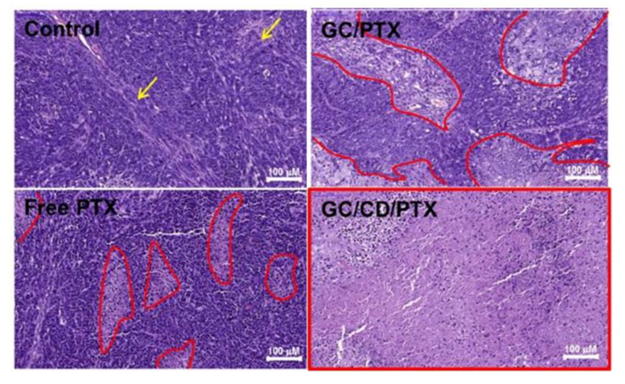 Gels 07 00033 g006 Gels 07 00033 g006