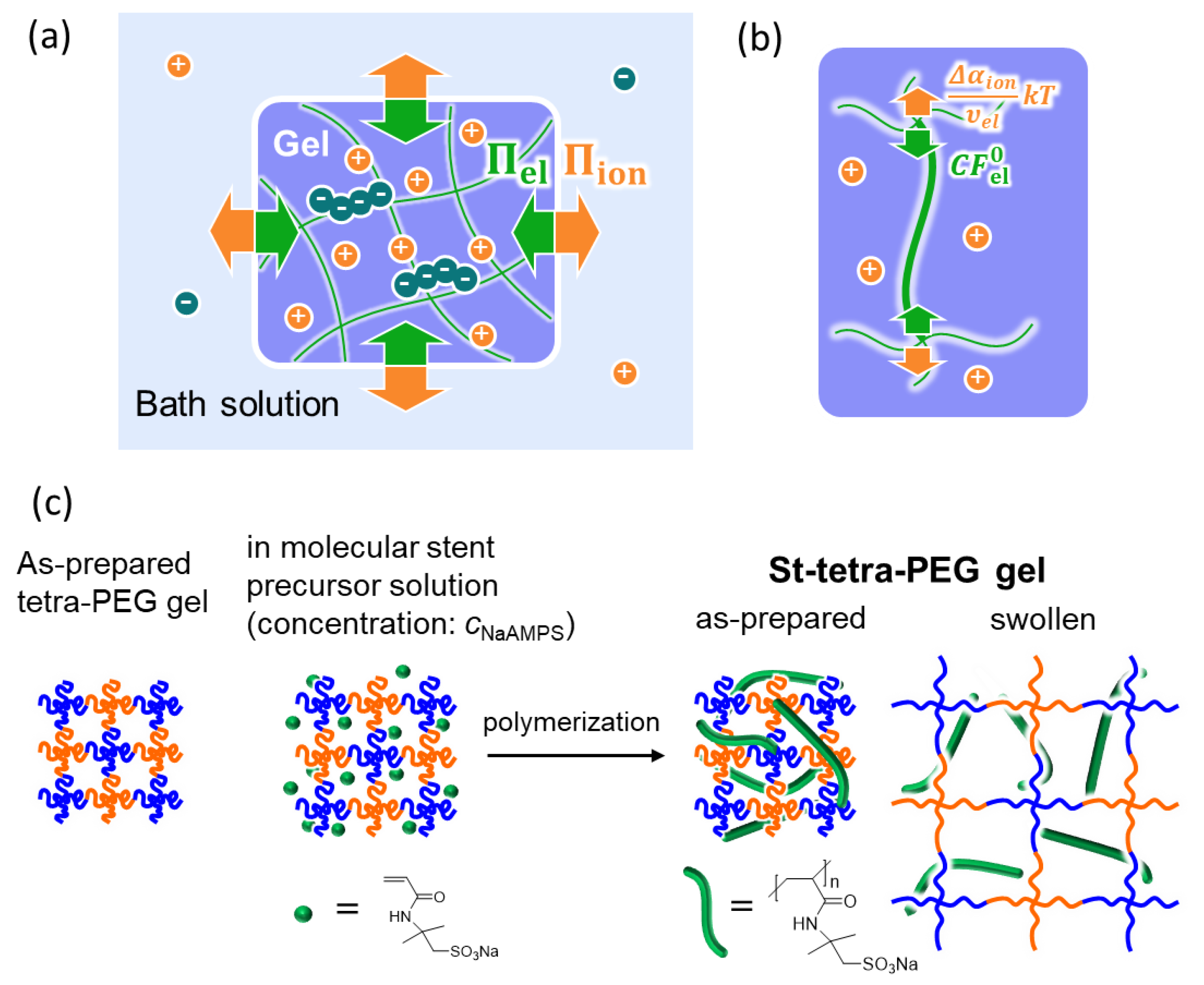 Gels 07 00039 g001 Gels 07 00039 g001