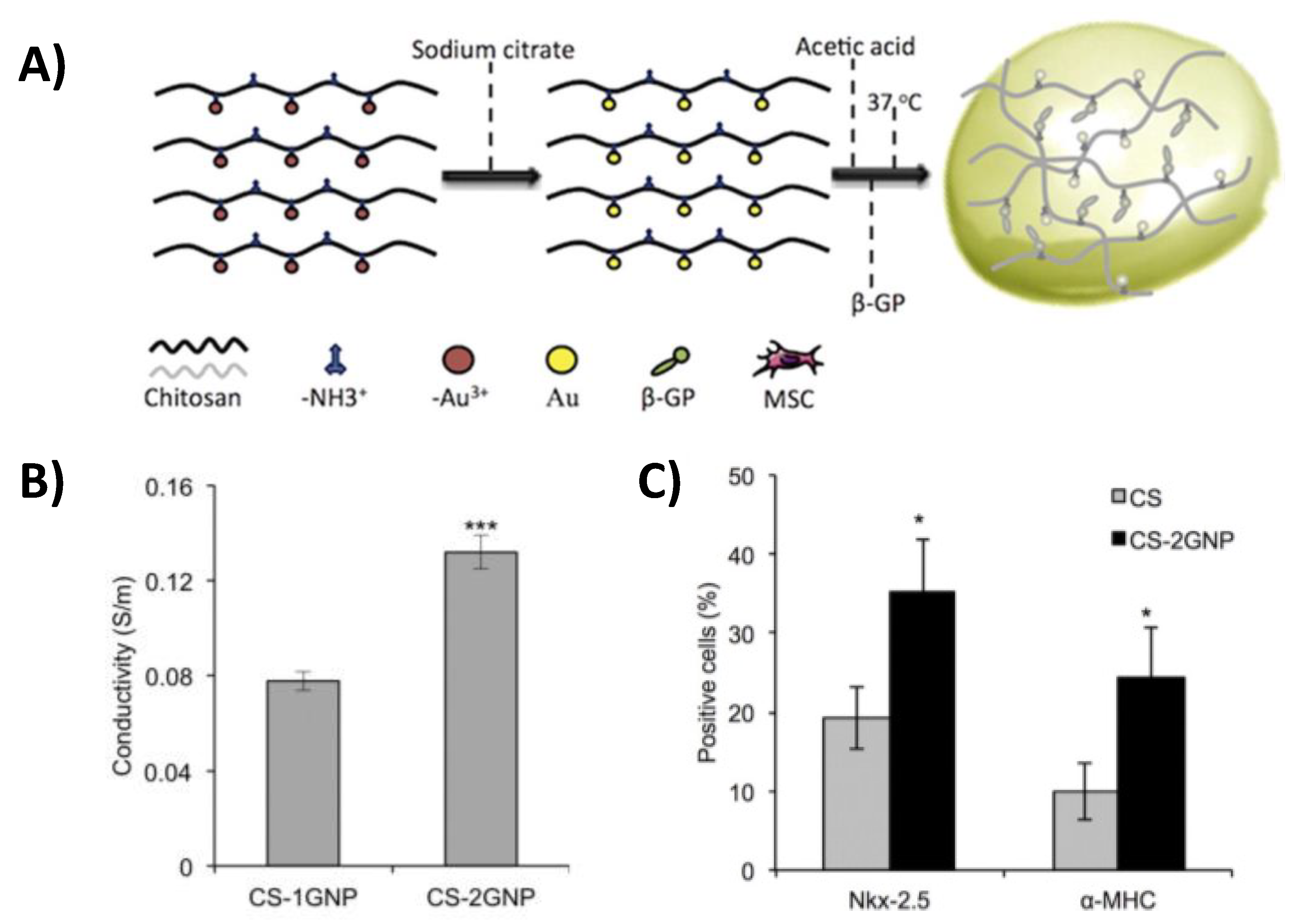 Gels 07 00053 g002 Gels 07 00053 g002