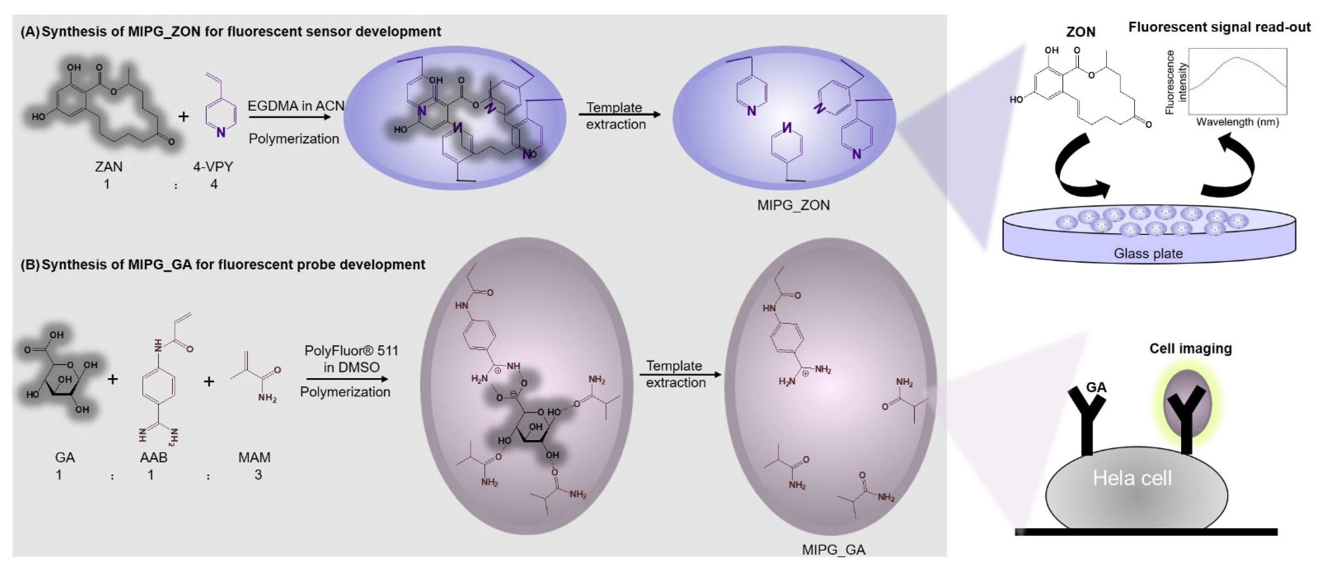 Gels 07 00067 sch001