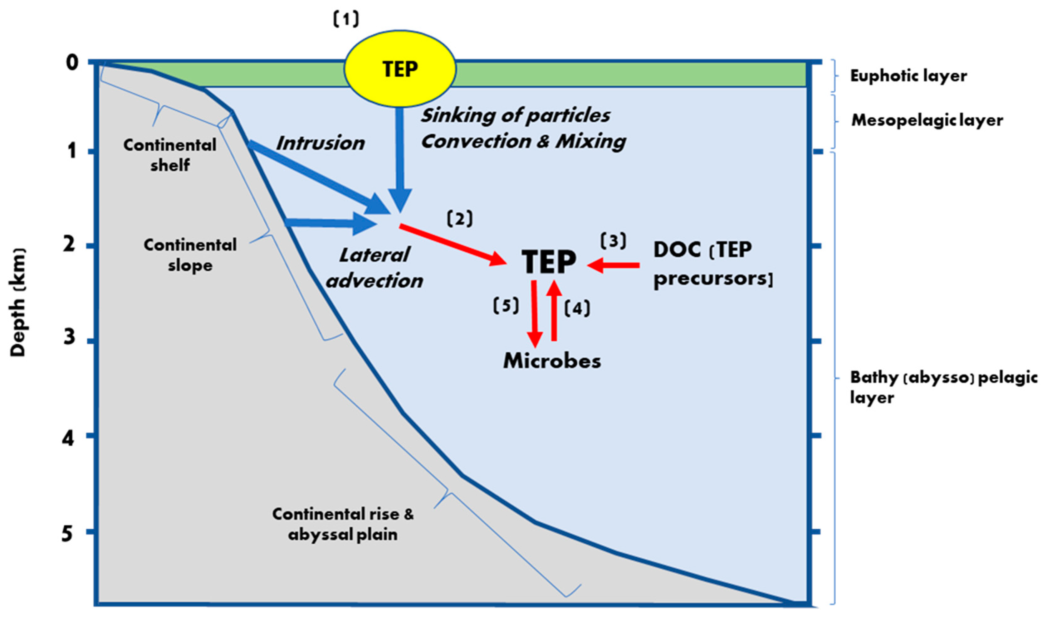 Gels 07 00075 g003 Gels 07 00075 g003