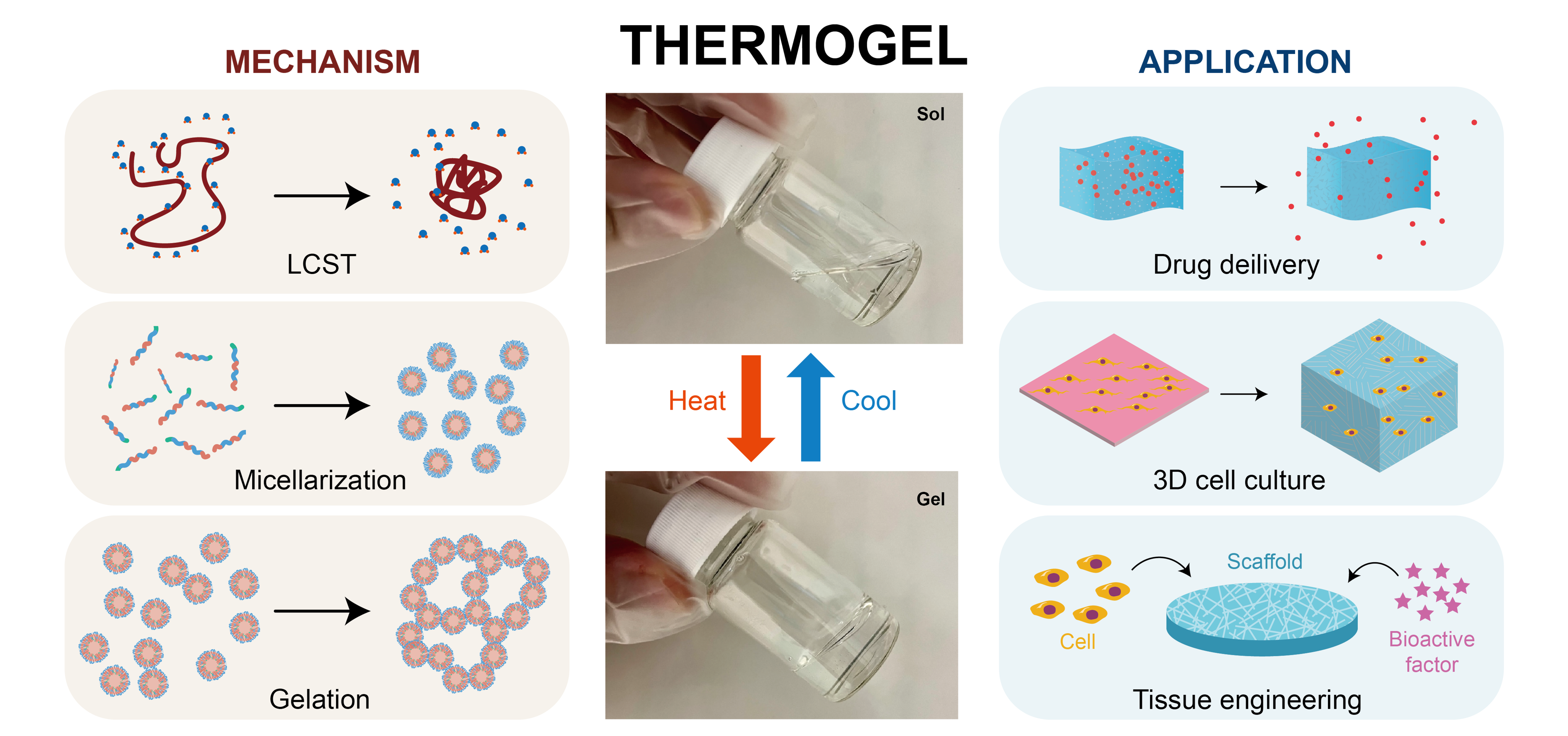 Gels | Free Full-Text | Thermo-Responsive Hydrogels: From Recent 