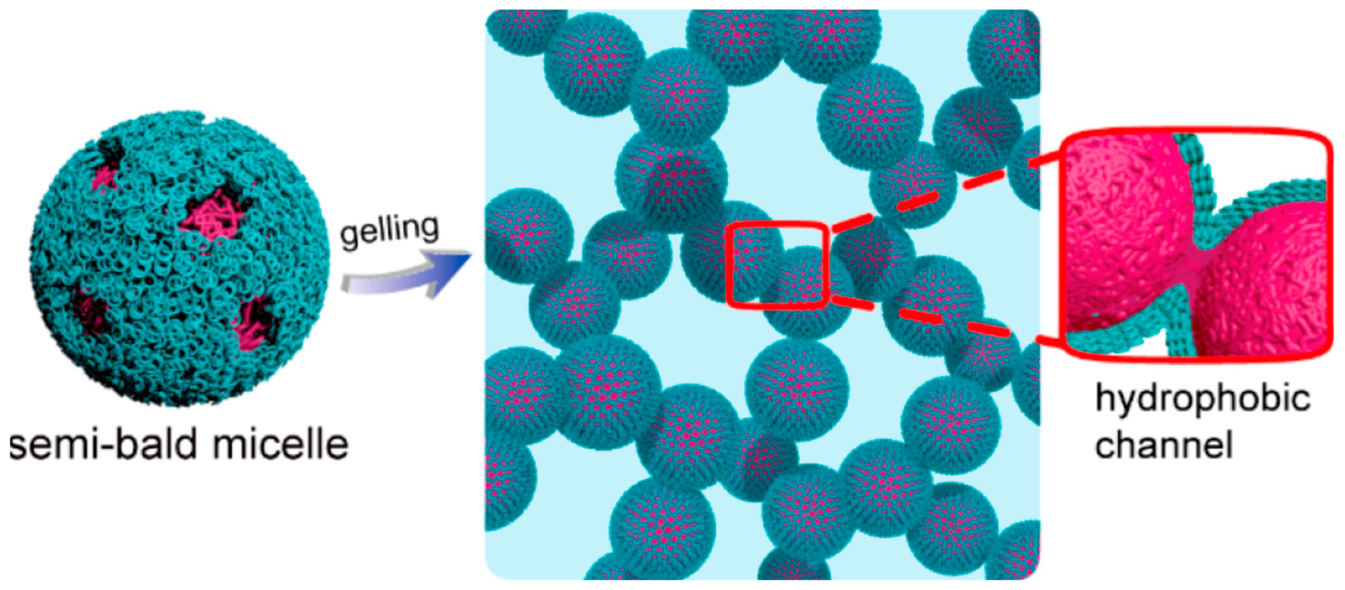 Gels 07 00077 g004 550