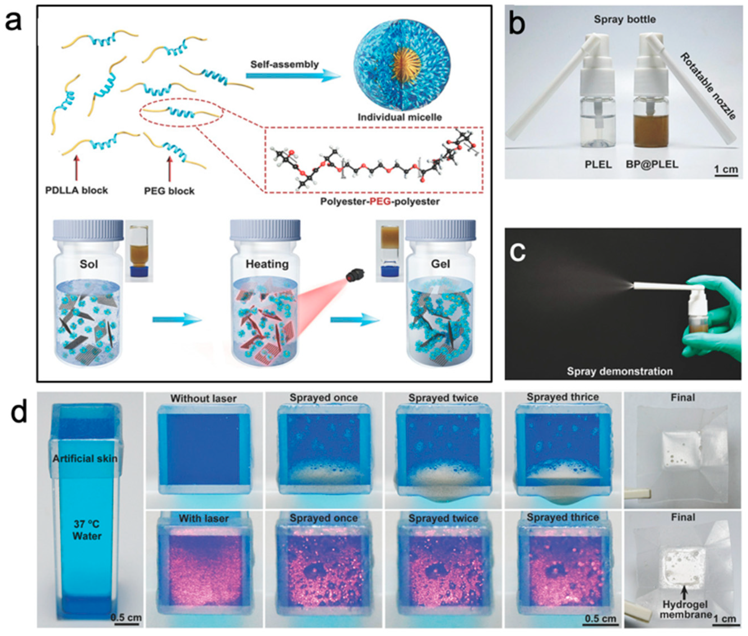 Gels 07 00077 g005 550