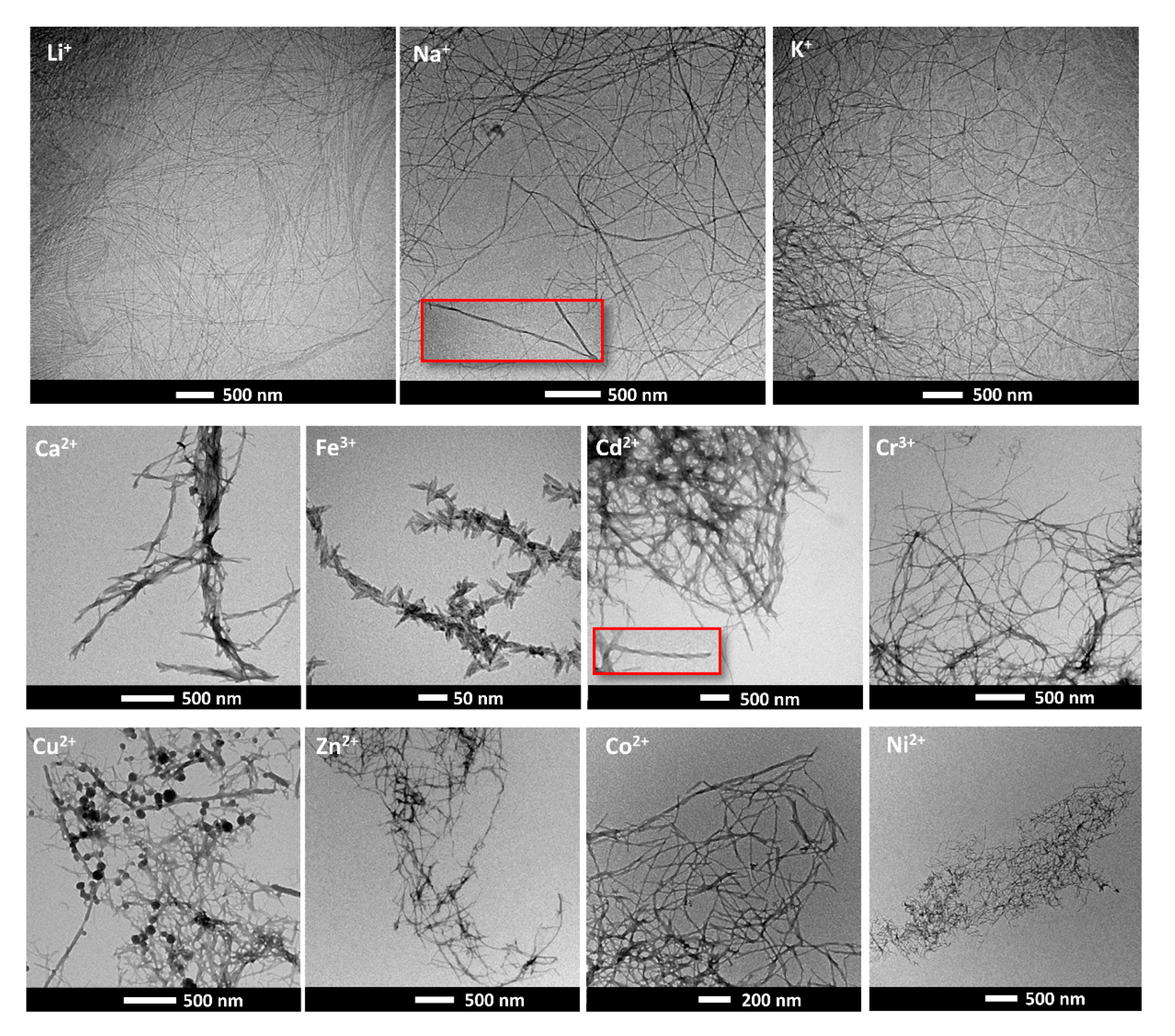 Gels 07 00085 g004 550