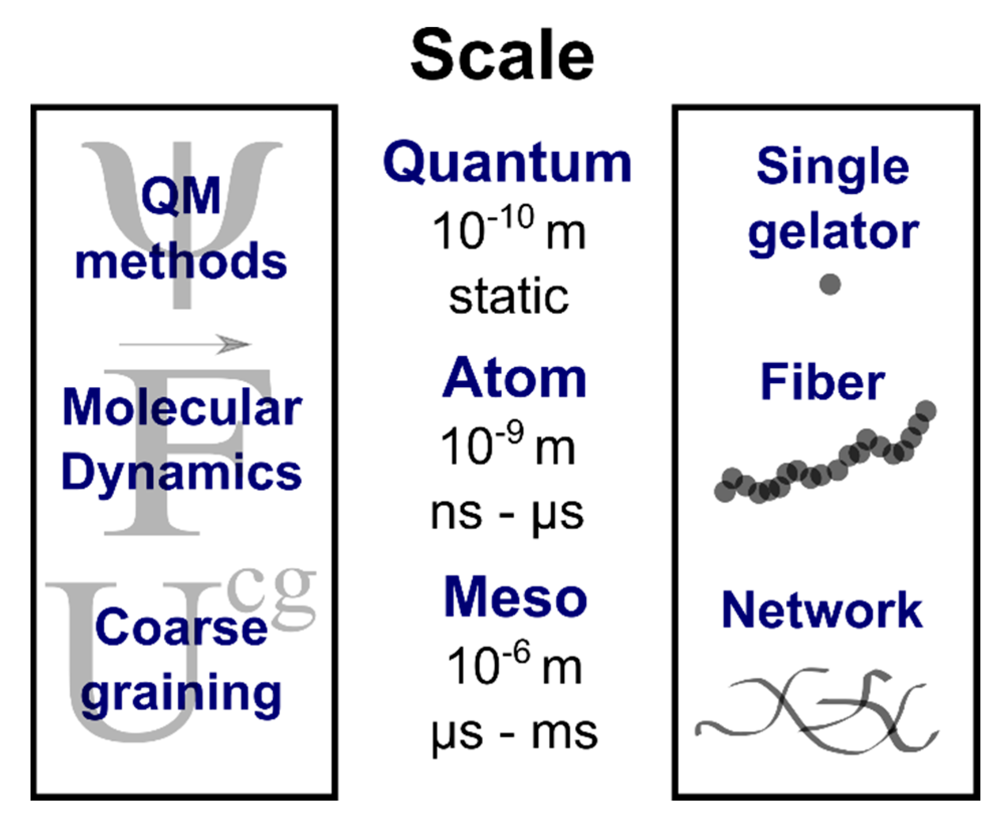 Gels 07 00087 g001 550