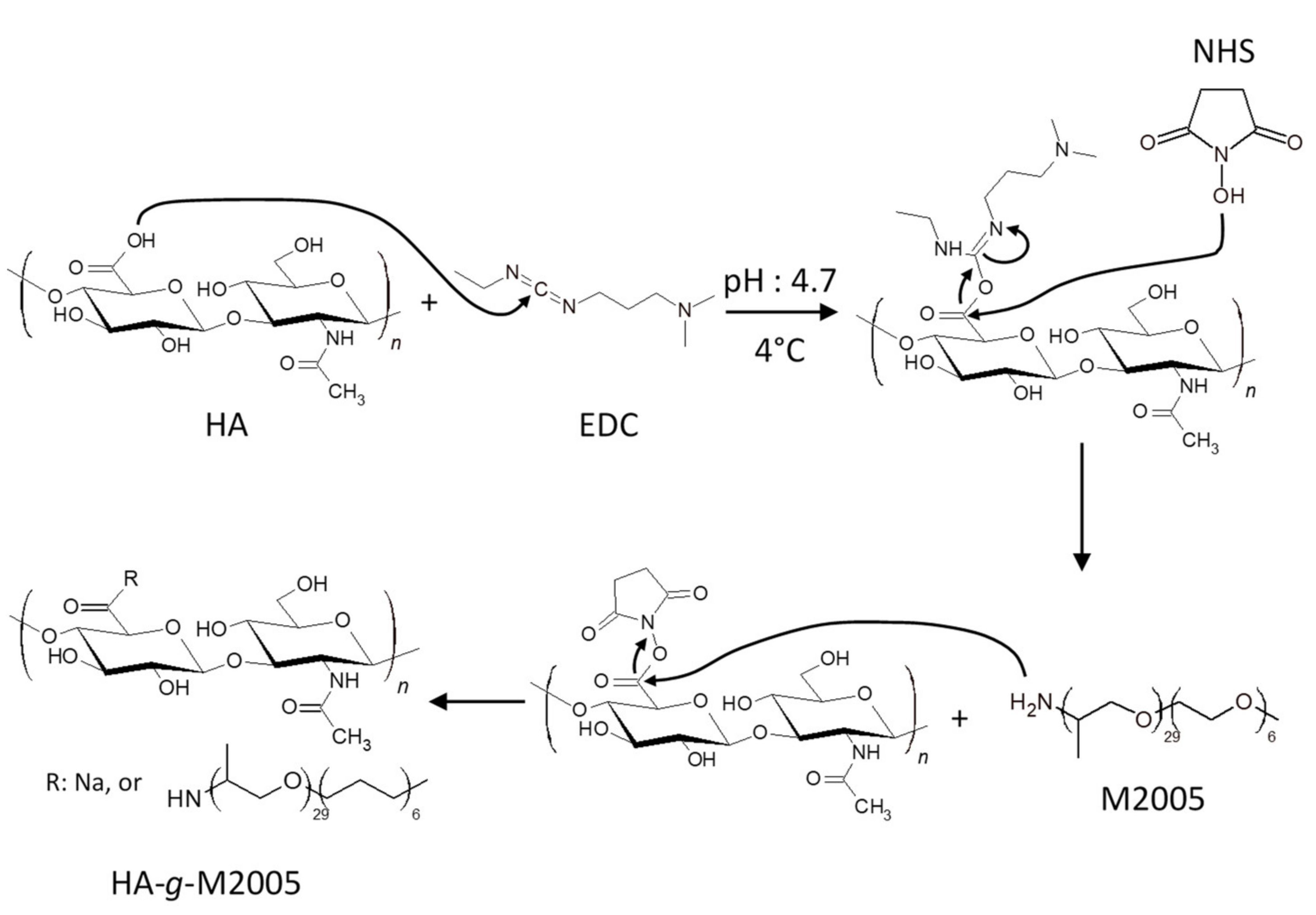 Gels 07 00088 sch001 550