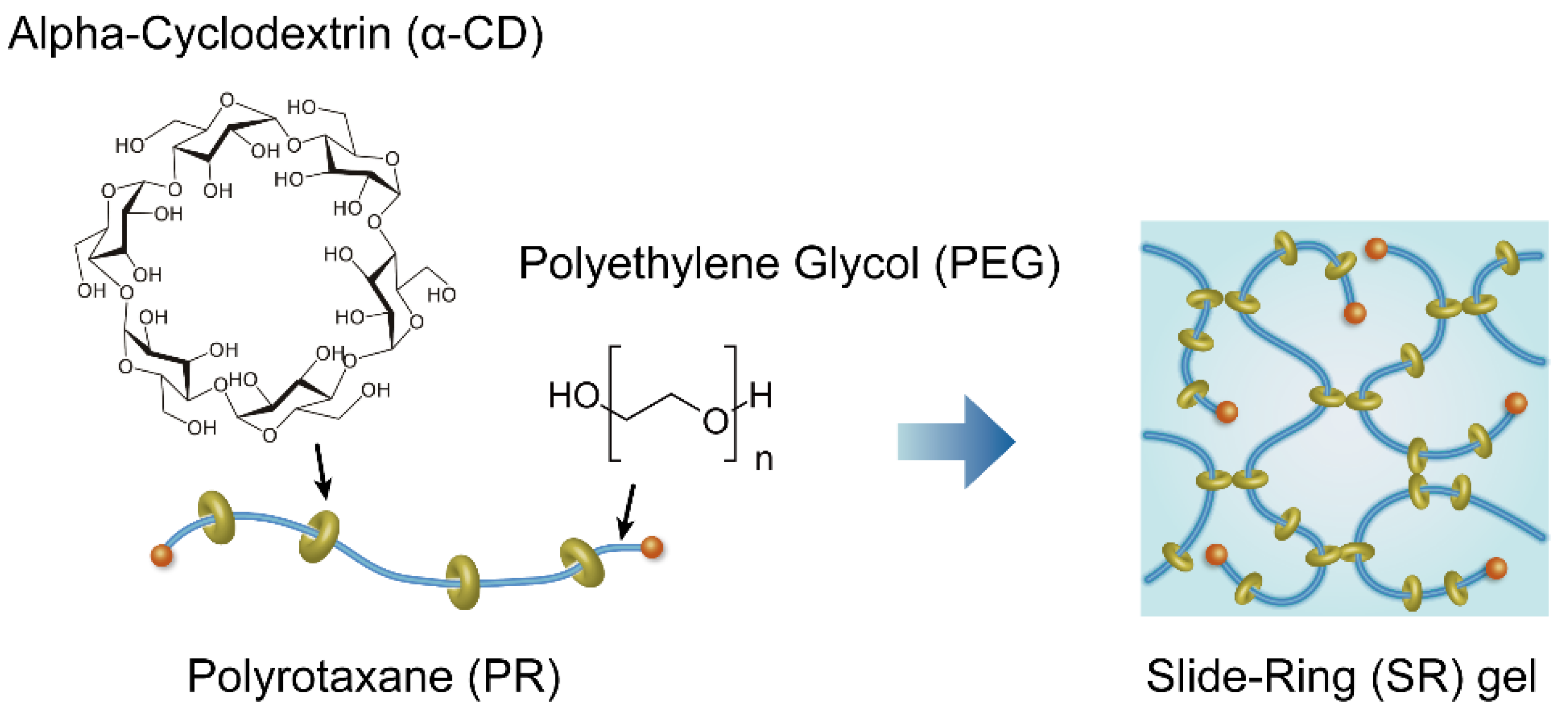 Gels 07 00091 g001 550