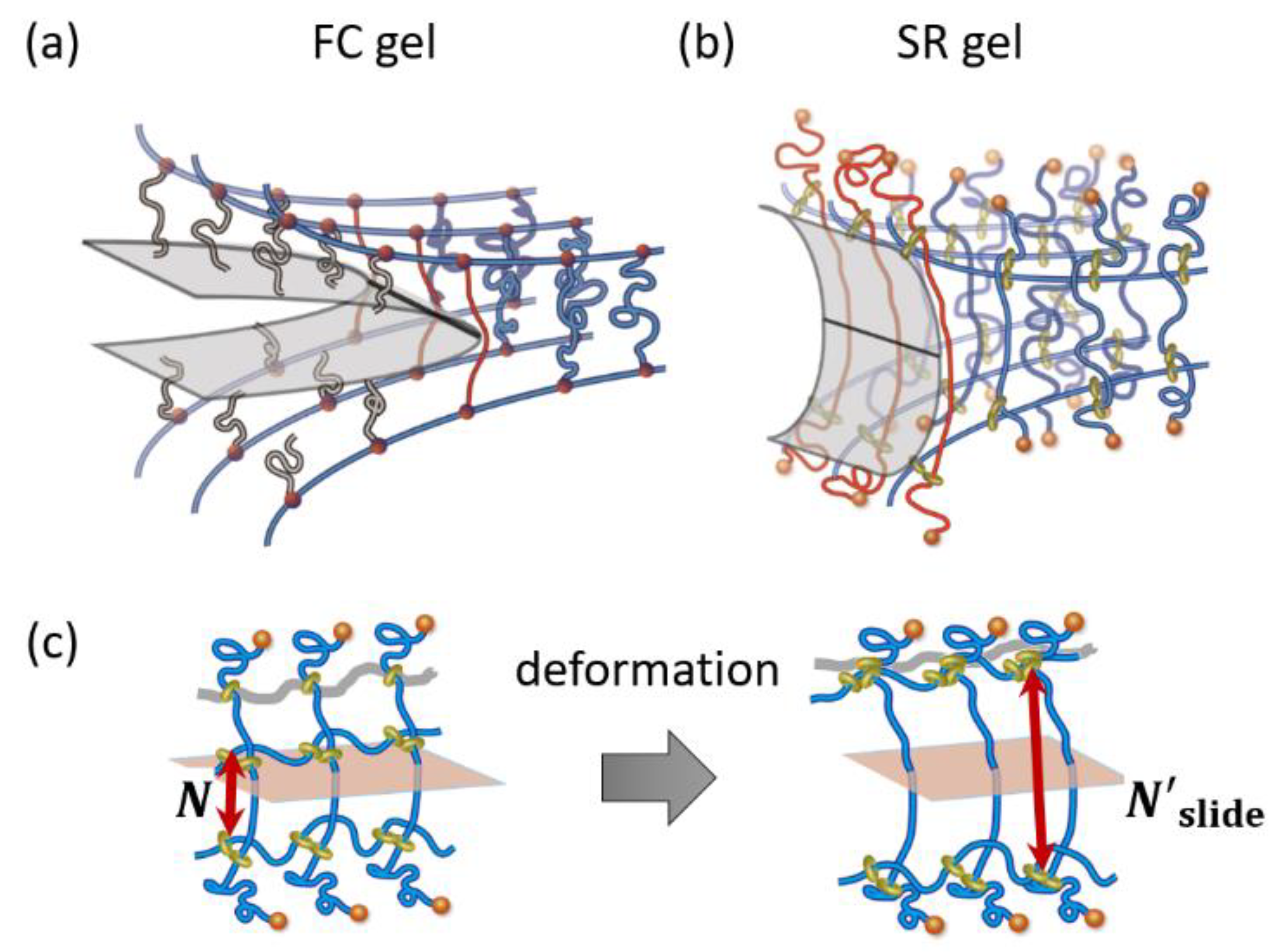 Gels 07 00091 g011 550